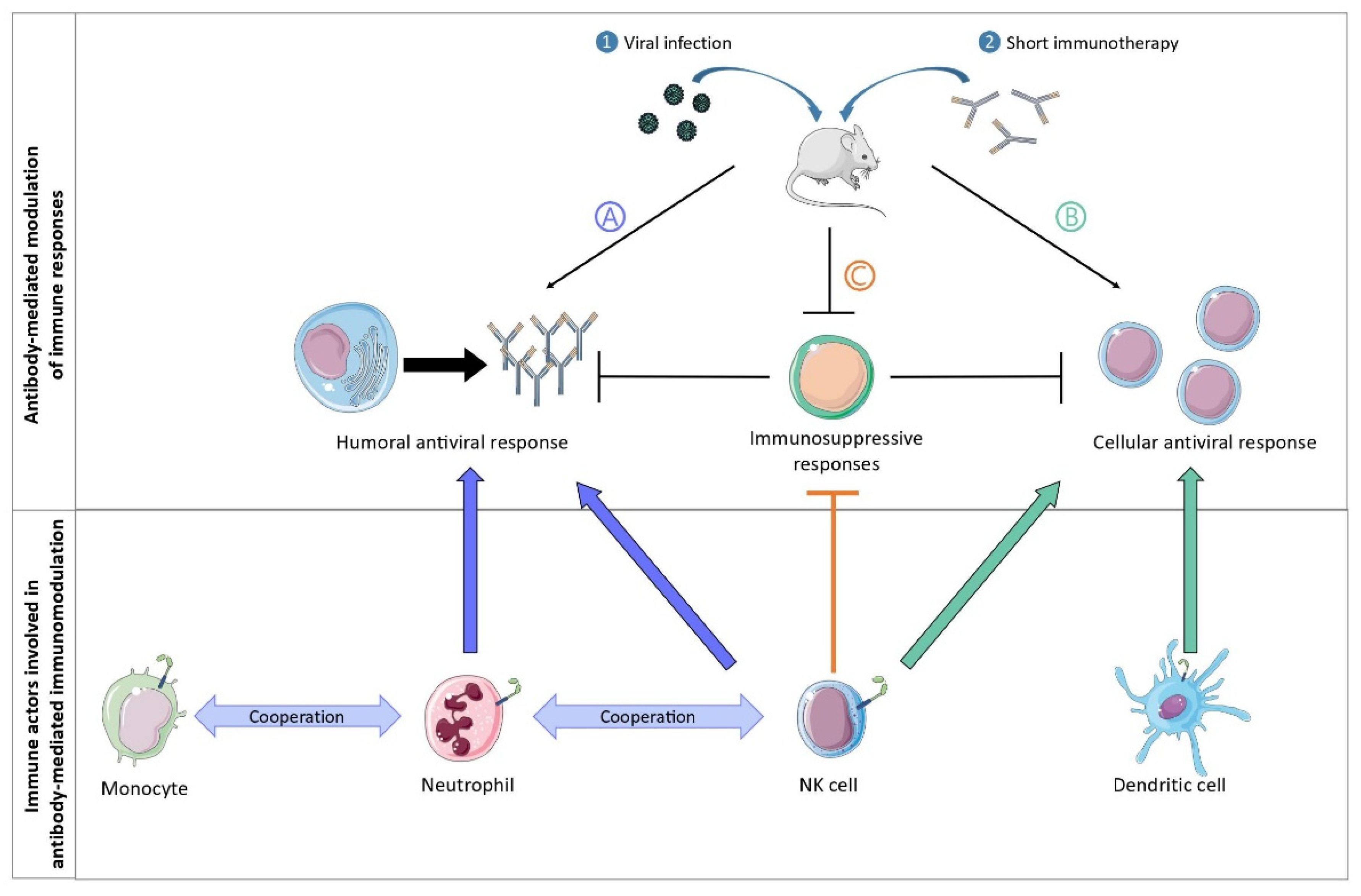 Antibodies 11 00050 g002 Antibodies 11 00050 g002