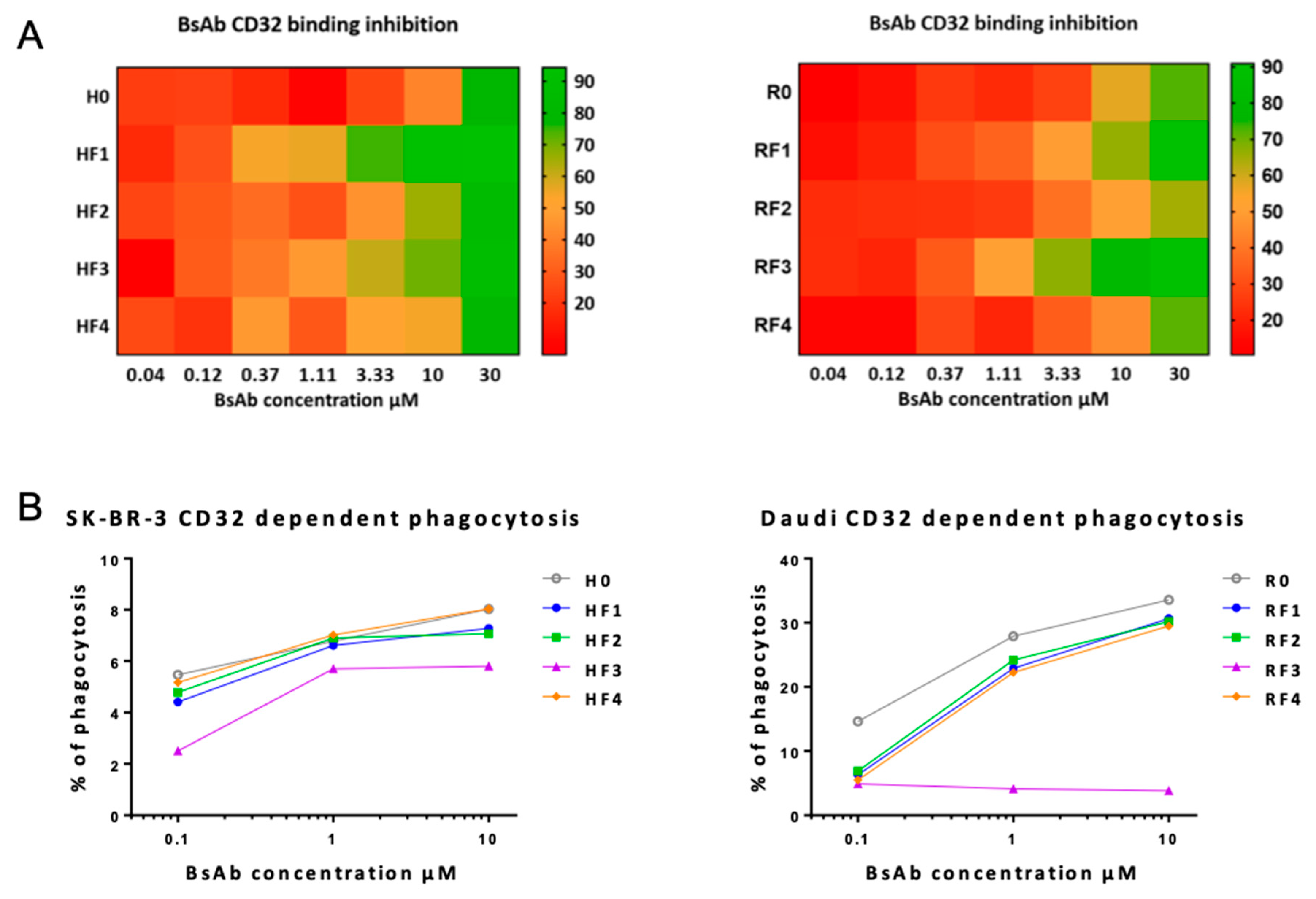 Antibodies 11 00054 g006
