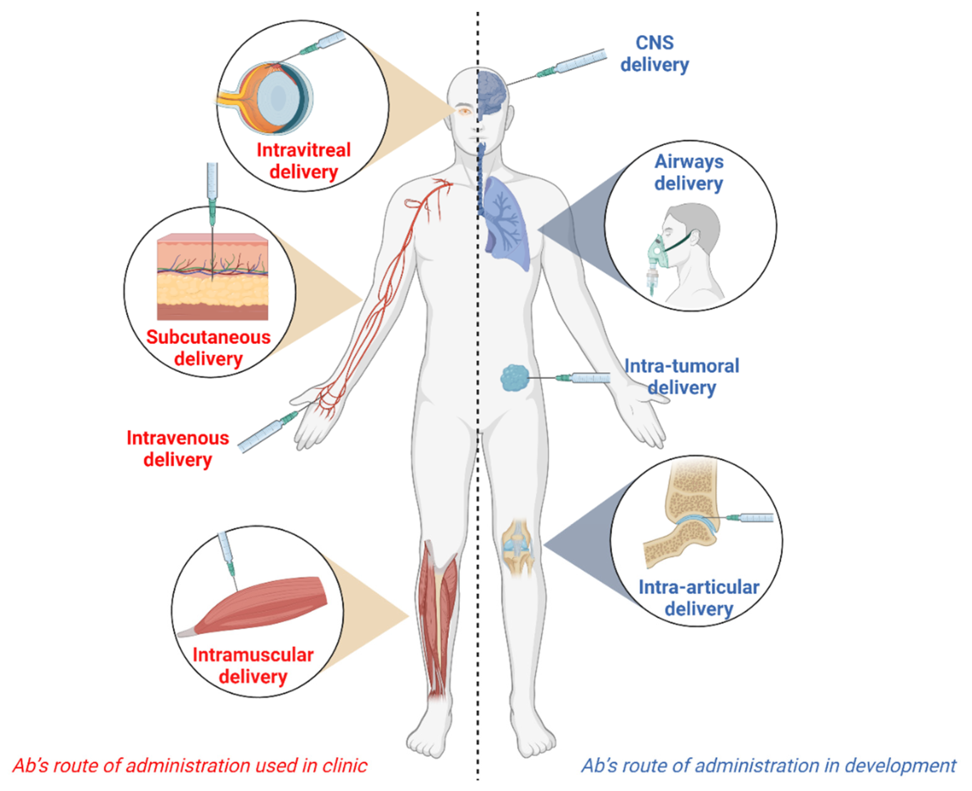 MuClear – Airway Mucous Clearance Device – Devices for Healing the Body