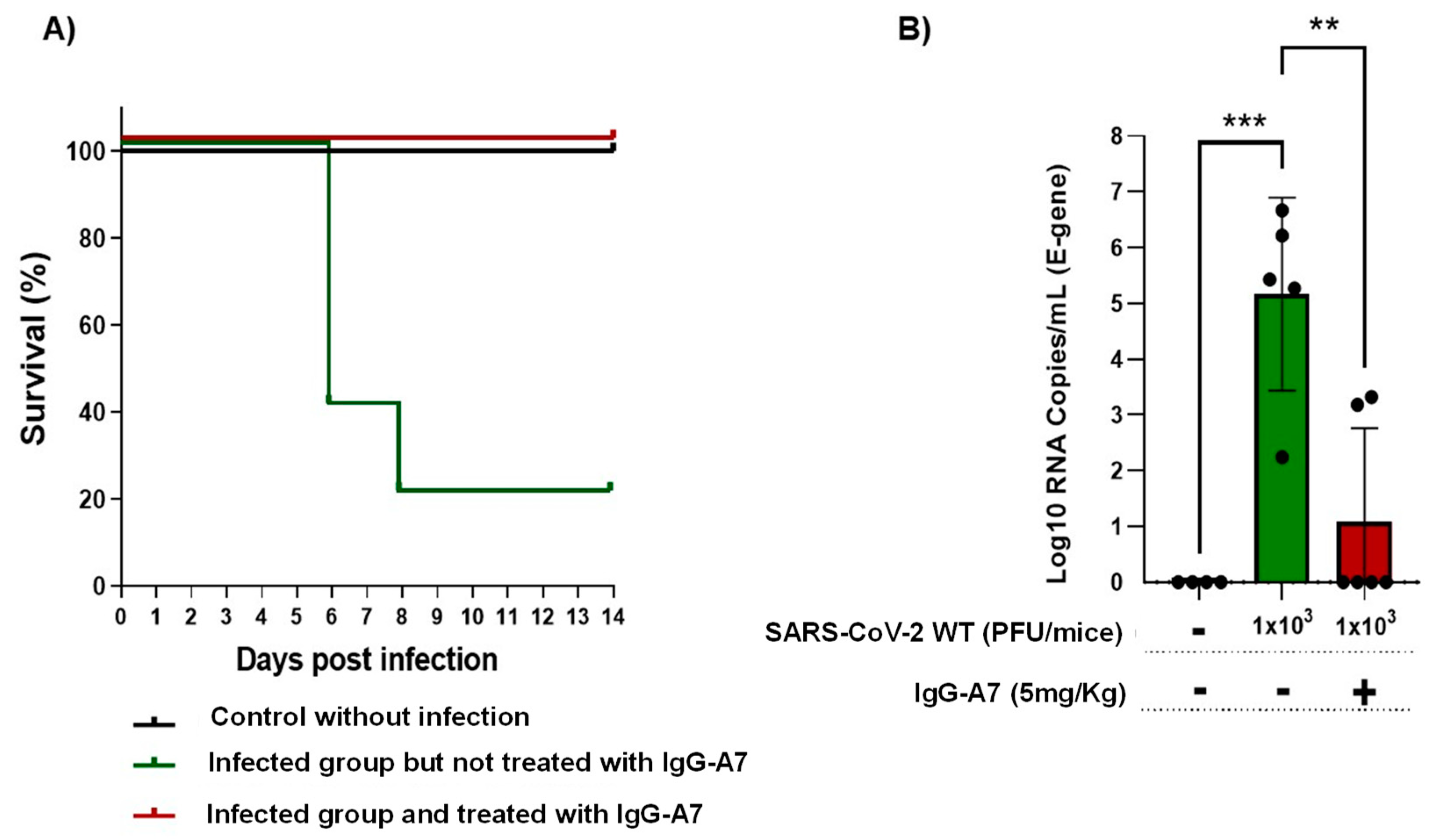 Antibodies 11 00057 g005 550
