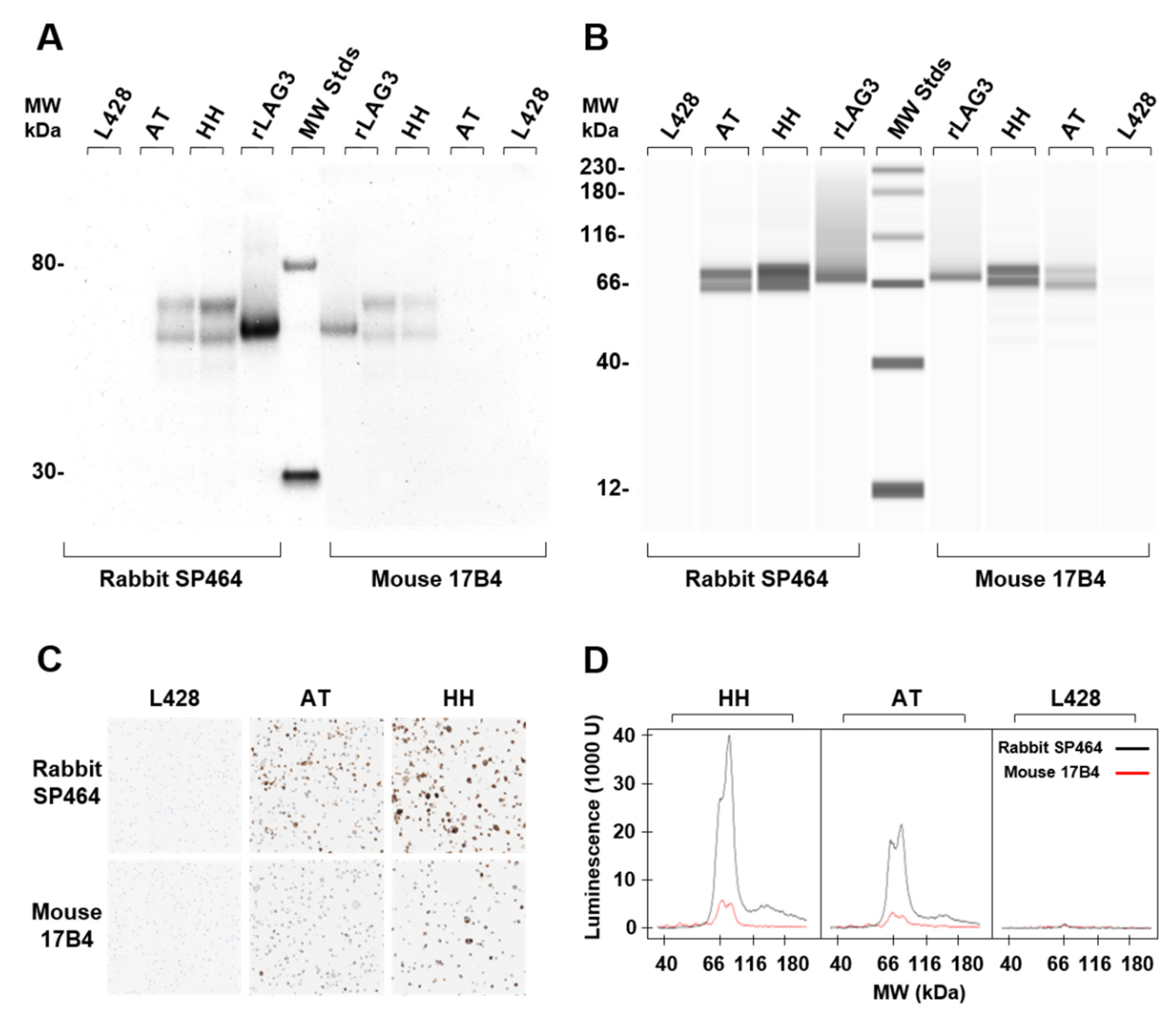 Antibodies Free Full Text High Resolution - Antibodies 11 00060 G001 