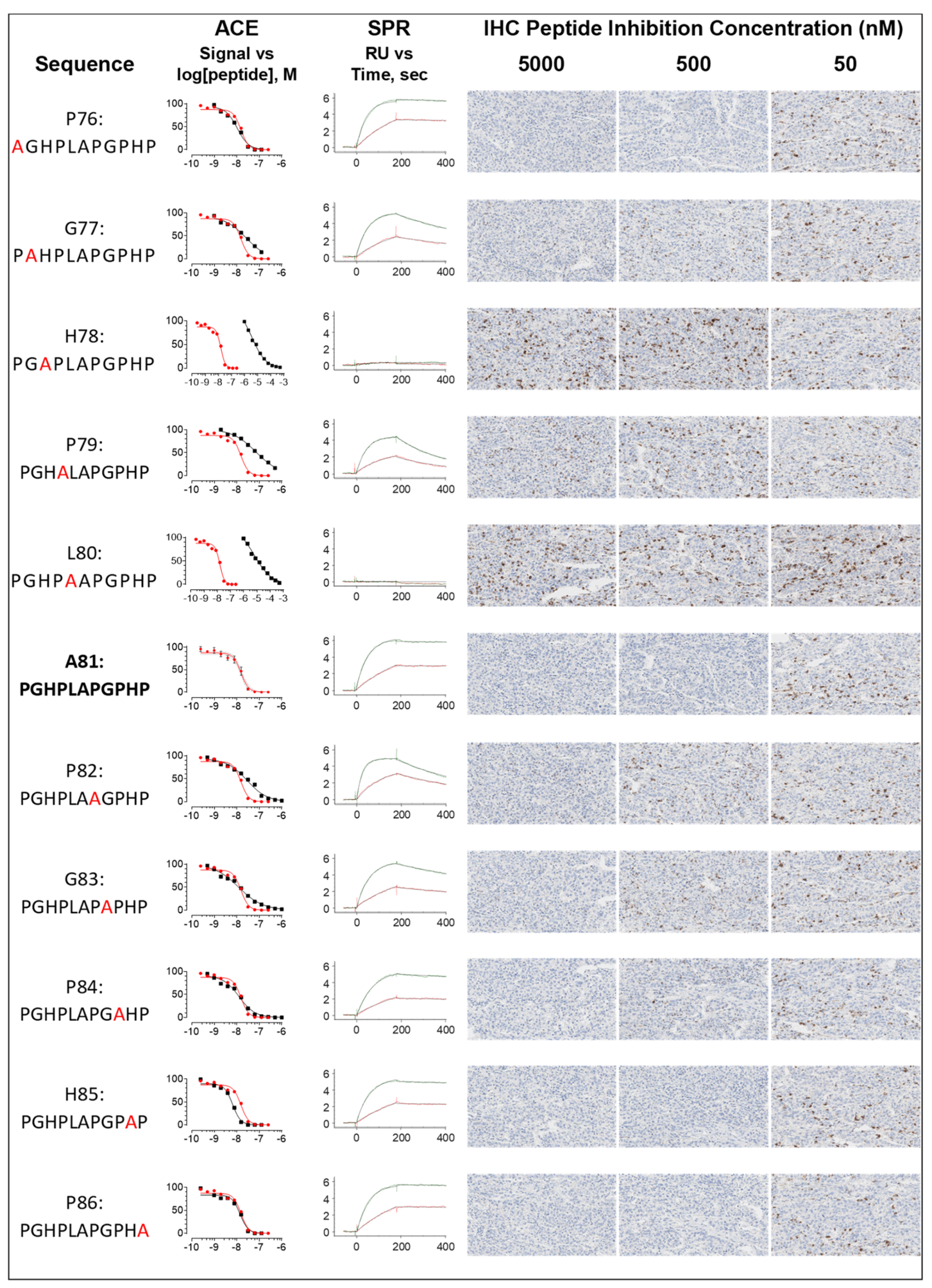 Antibodies 11 00060 g004