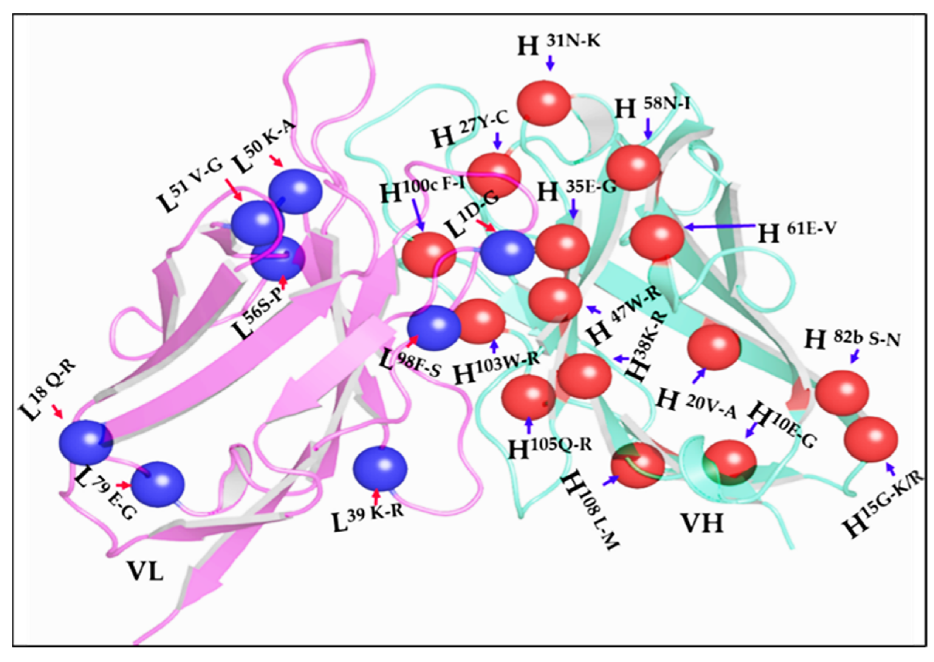 Antibodies 11 00061 g005 Antibodies 11 00061 g005