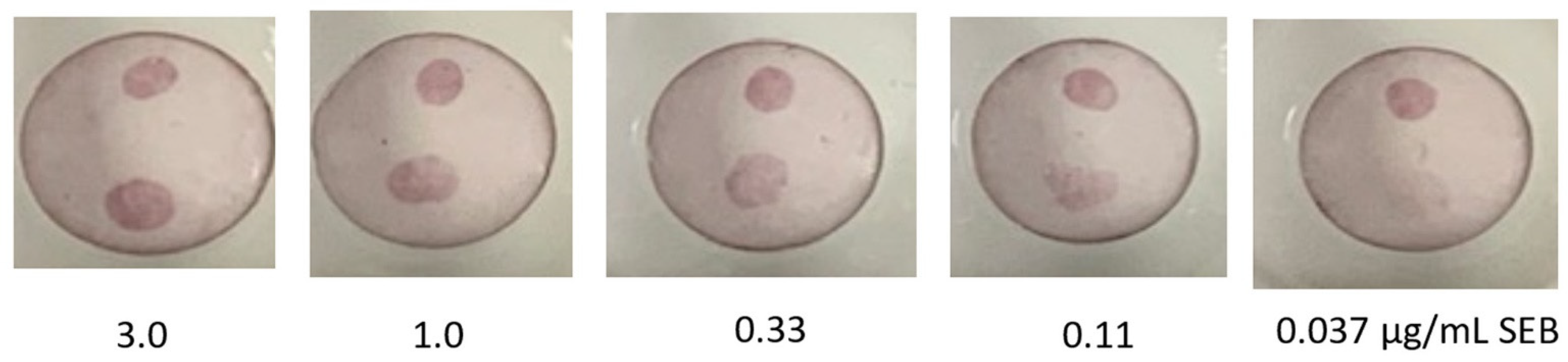 Antibodies 11 00064 g001 Antibodies 11 00064 g001