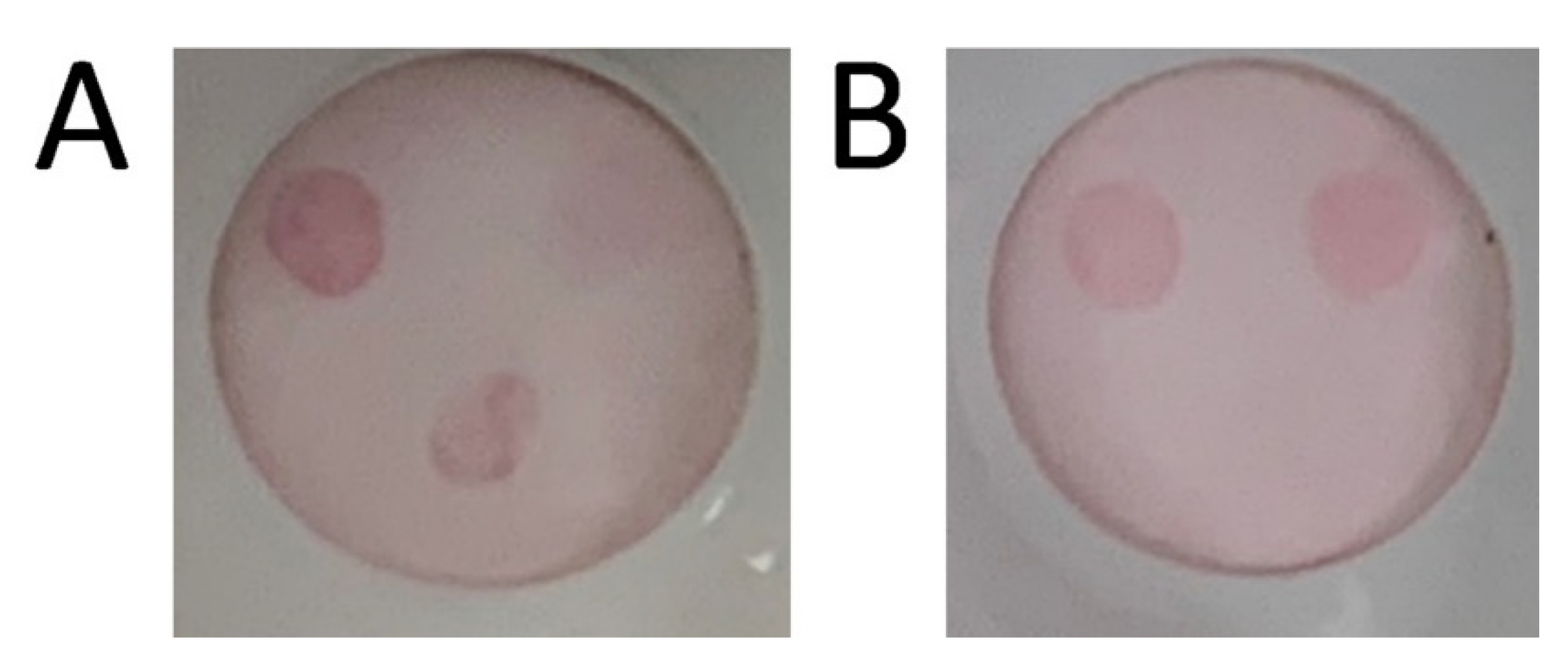 Antibodies 11 00064 g004 Antibodies 11 00064 g004