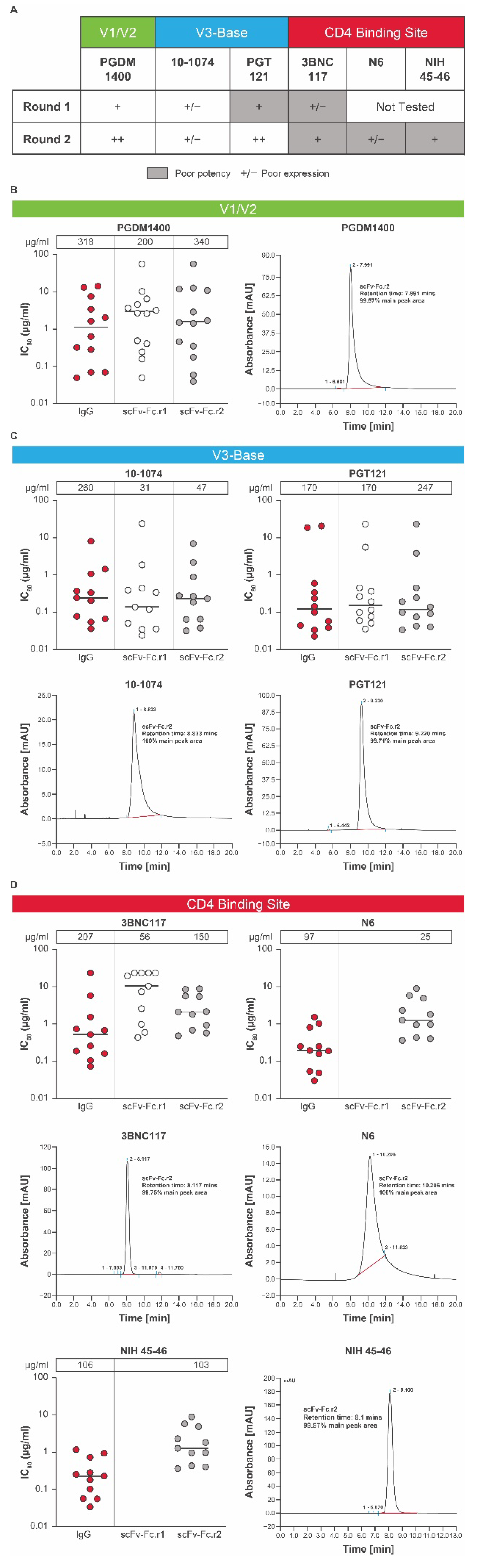 Antibodies 11 00067 g002