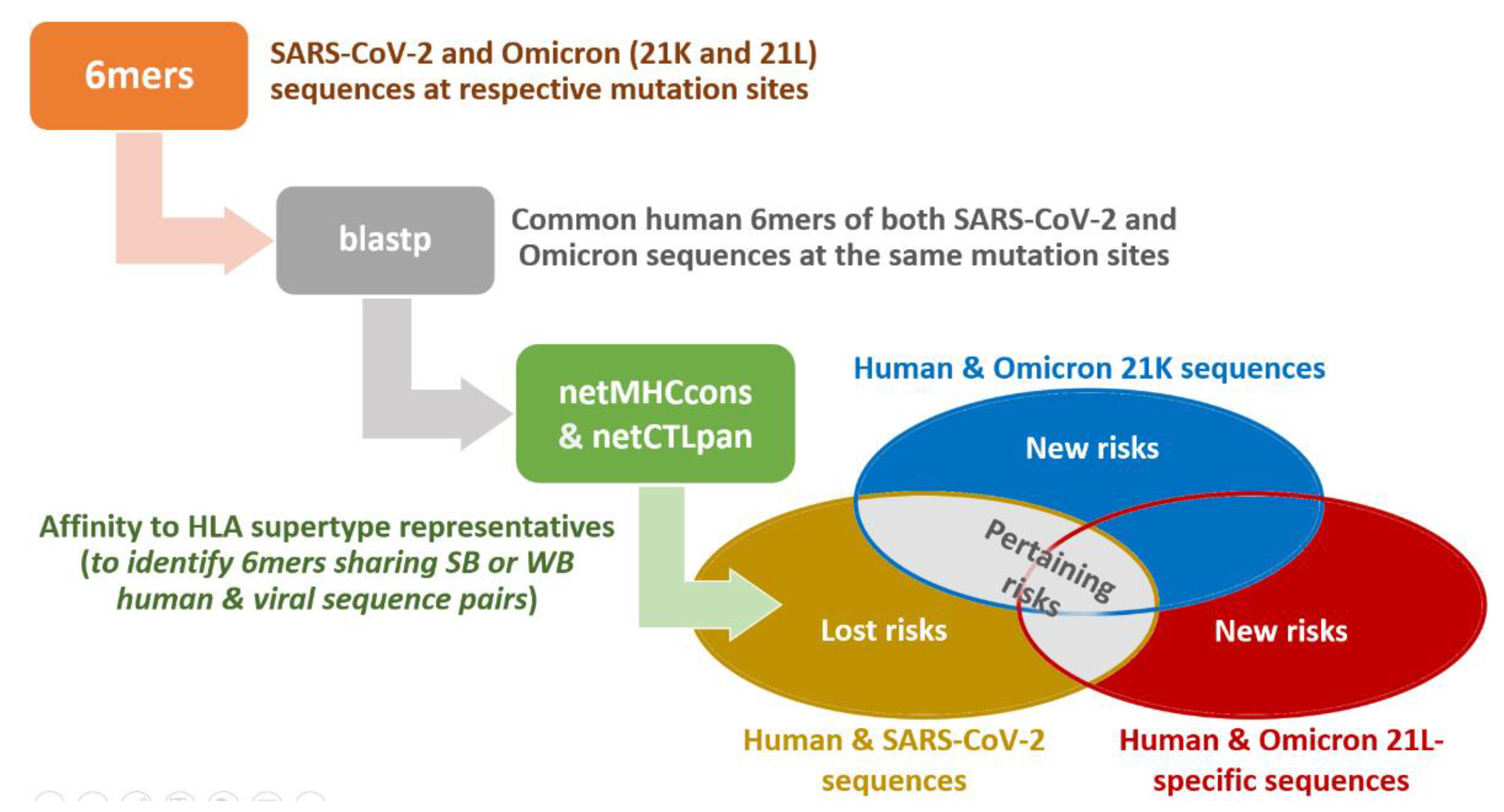 Antibodies 11 00068 g001 Antibodies 11 00068 g001