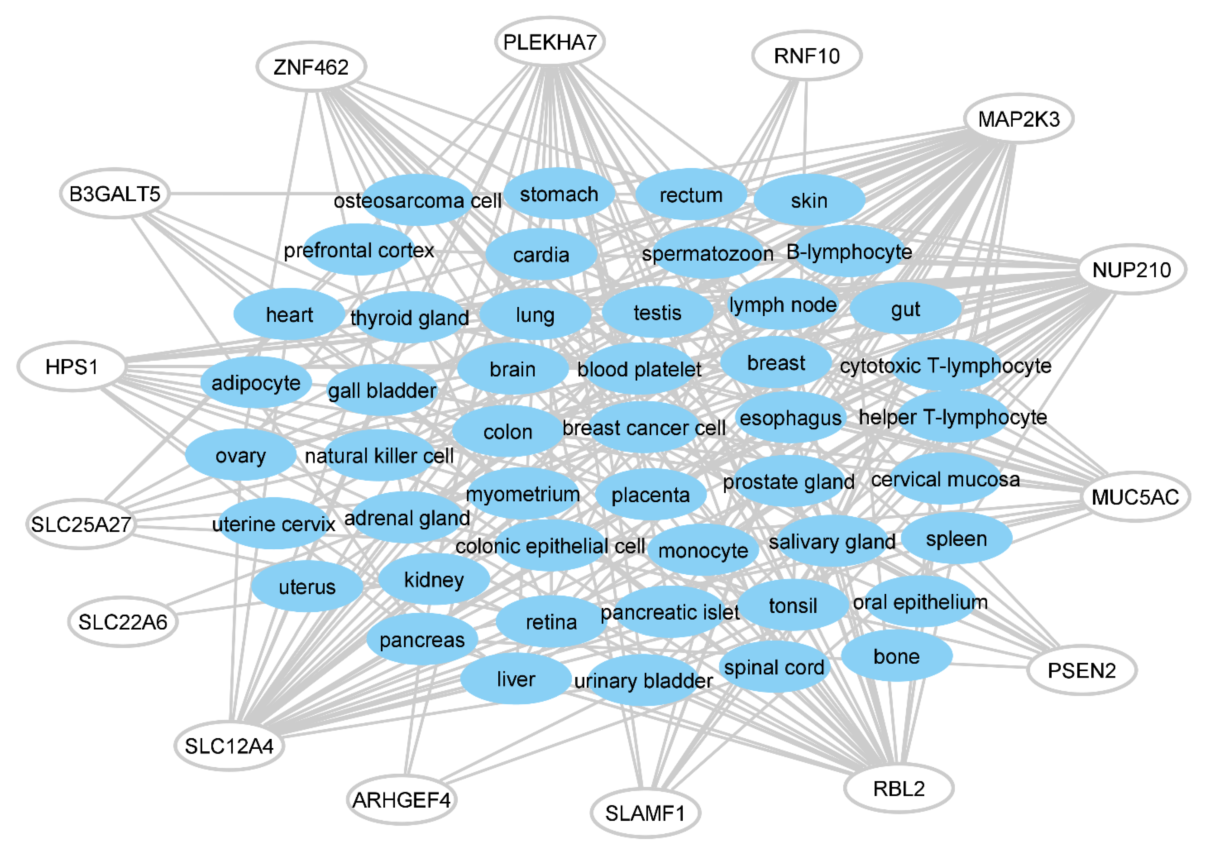 Antibodies 11 00068 g006 Antibodies 11 00068 g006