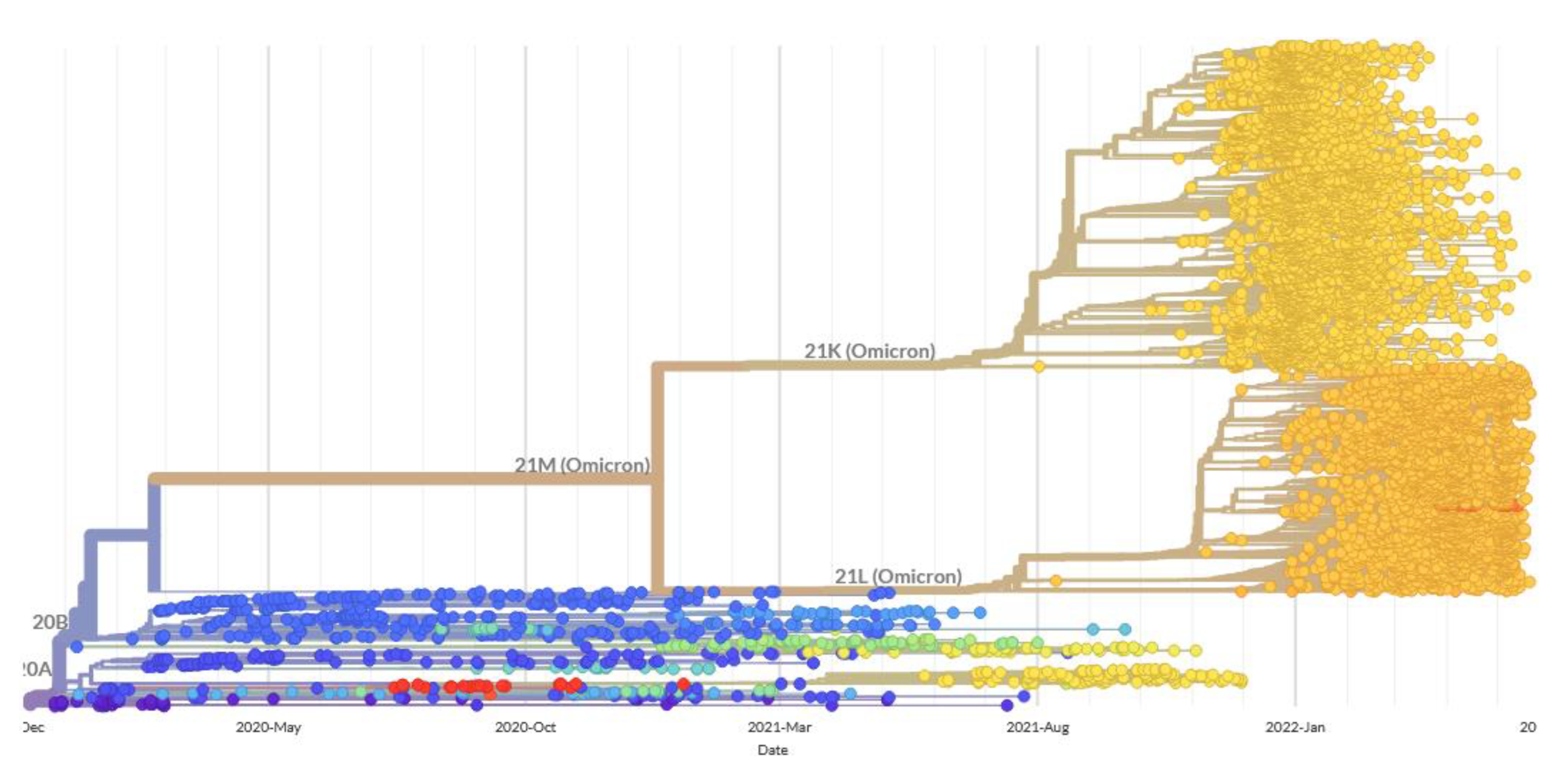 Antibodies 11 00068 g008 Antibodies 11 00068 g008