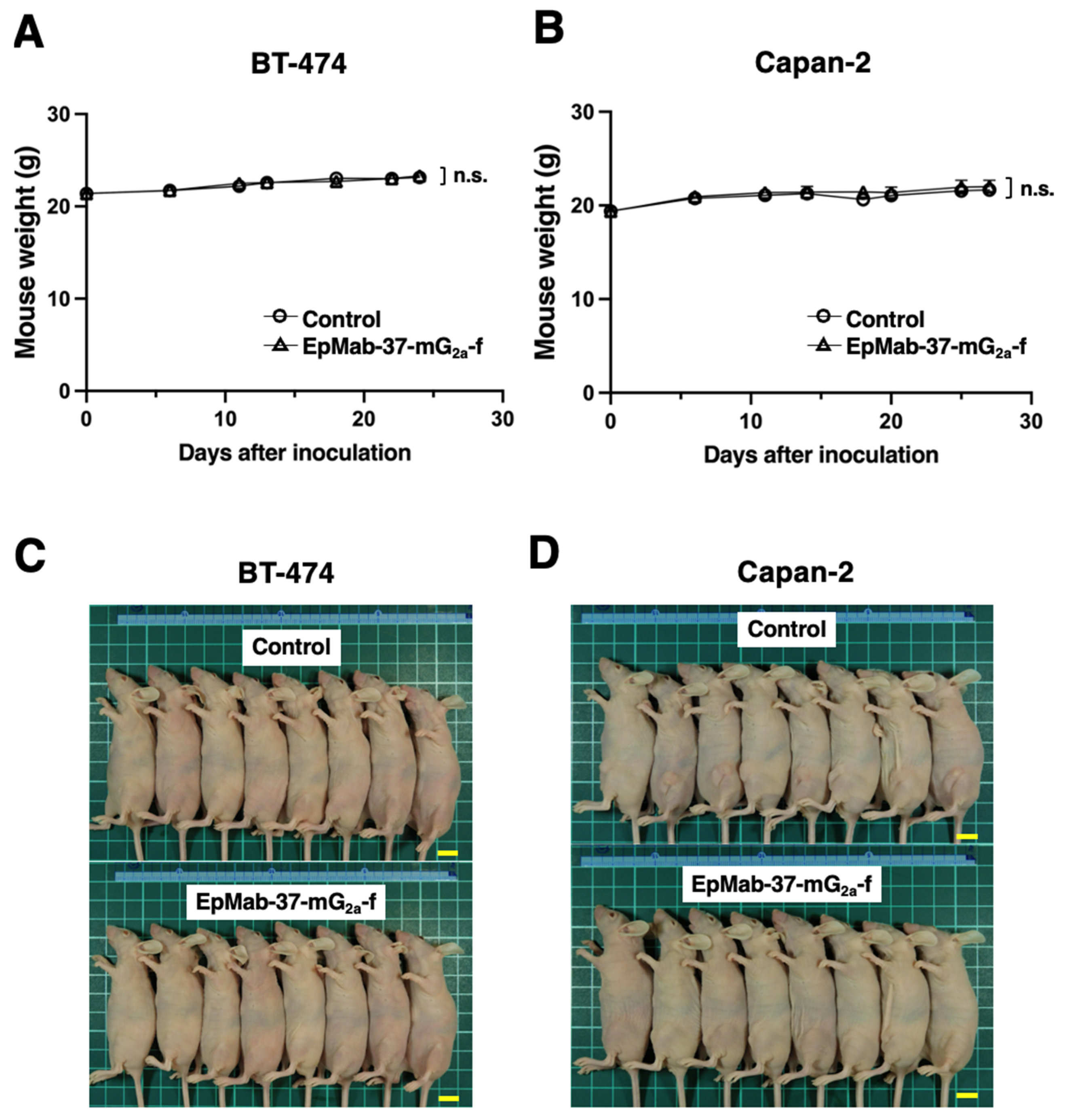 Antibodies 11 00074 g005 Antibodies 11 00074 g005