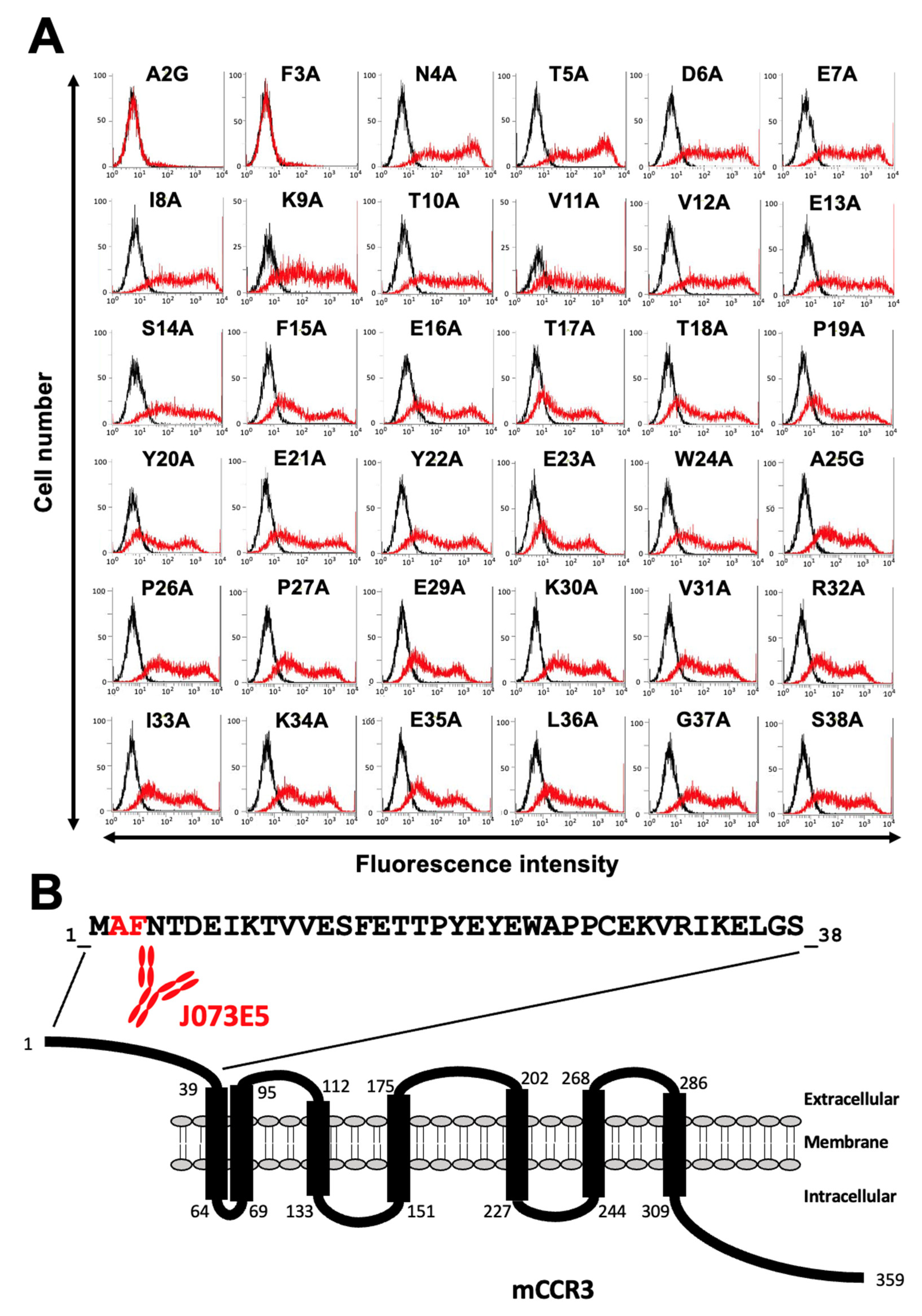 Antibodies 11 00075 g005 Antibodies 11 00075 g005
