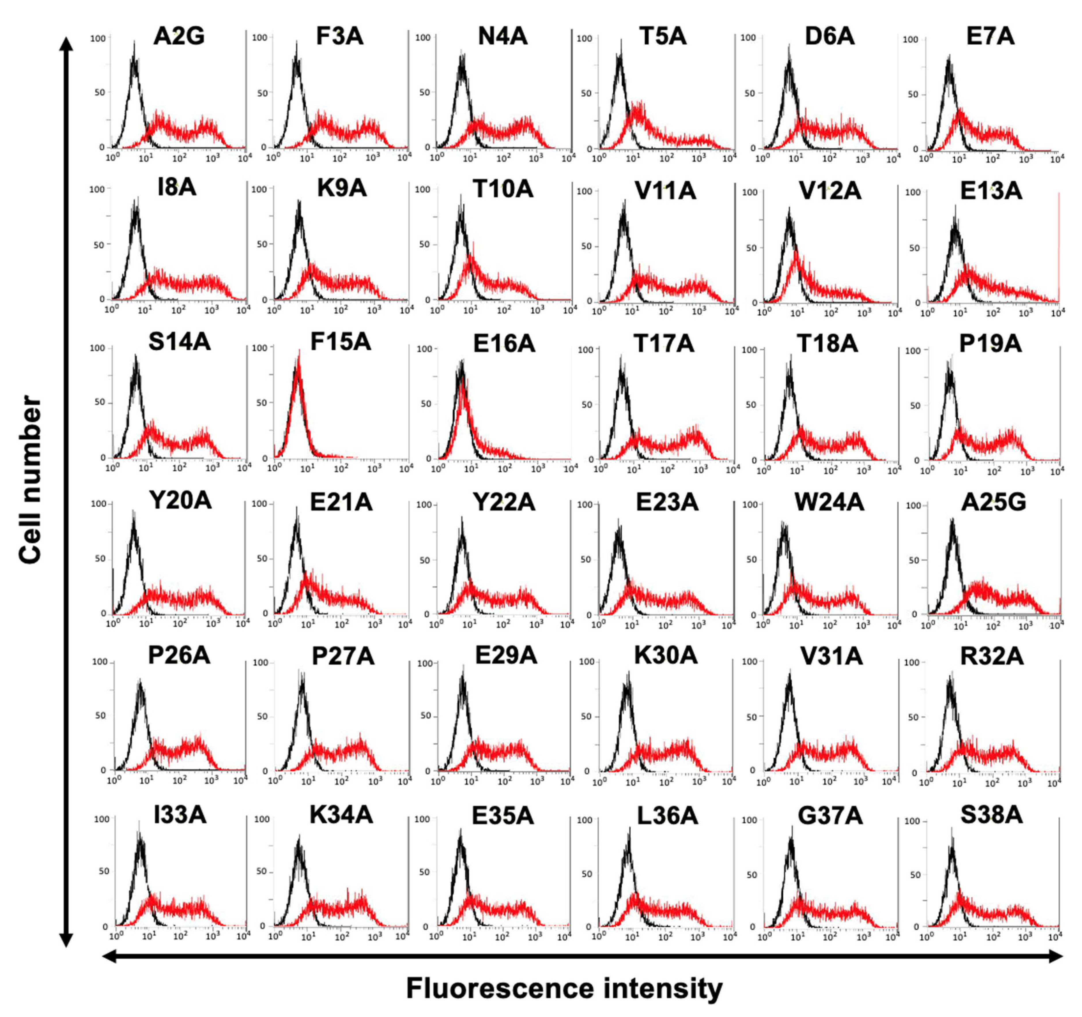 Antibodies 11 00075 g006 Antibodies 11 00075 g006