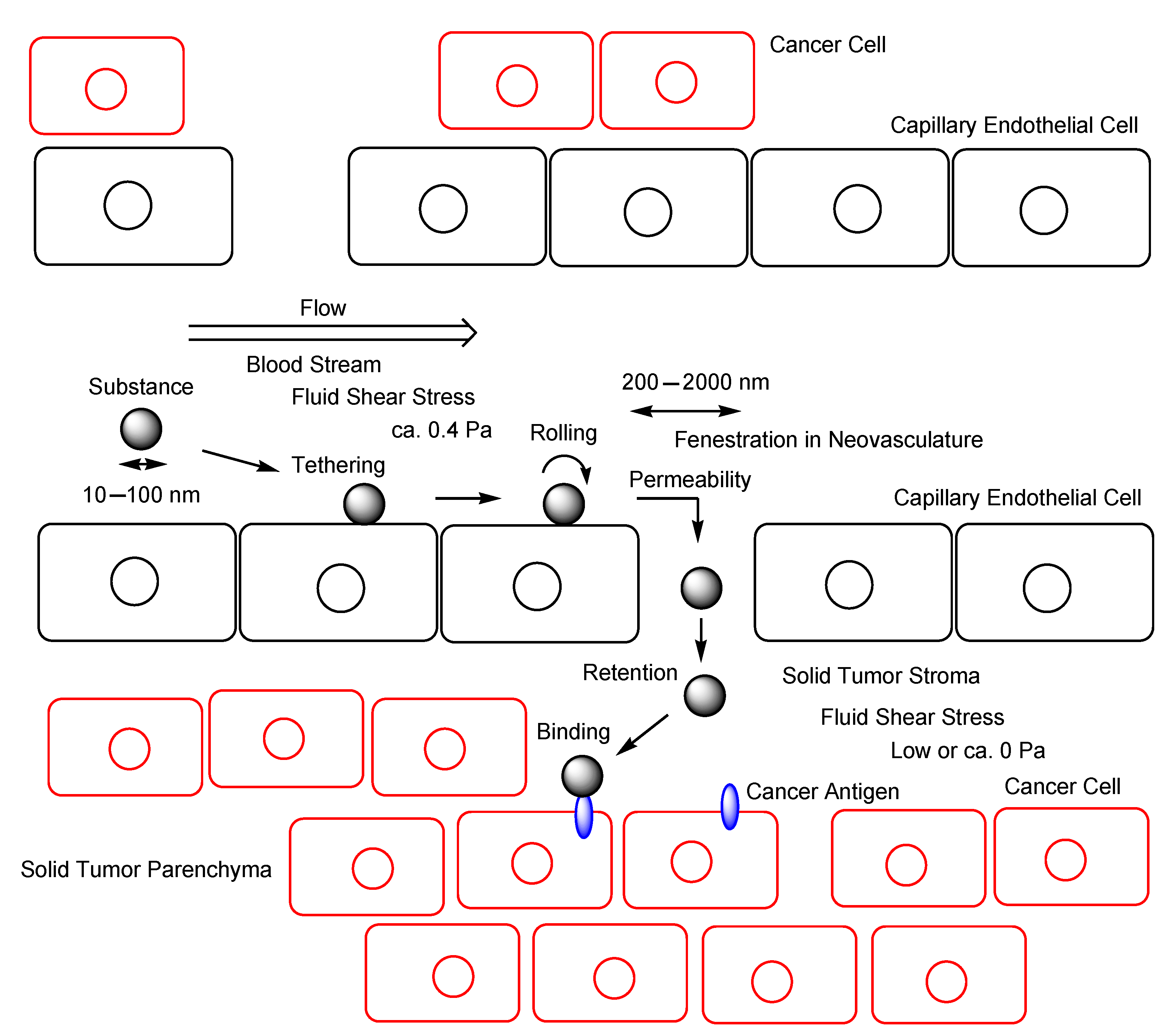 Antibodies 11 00078 g006