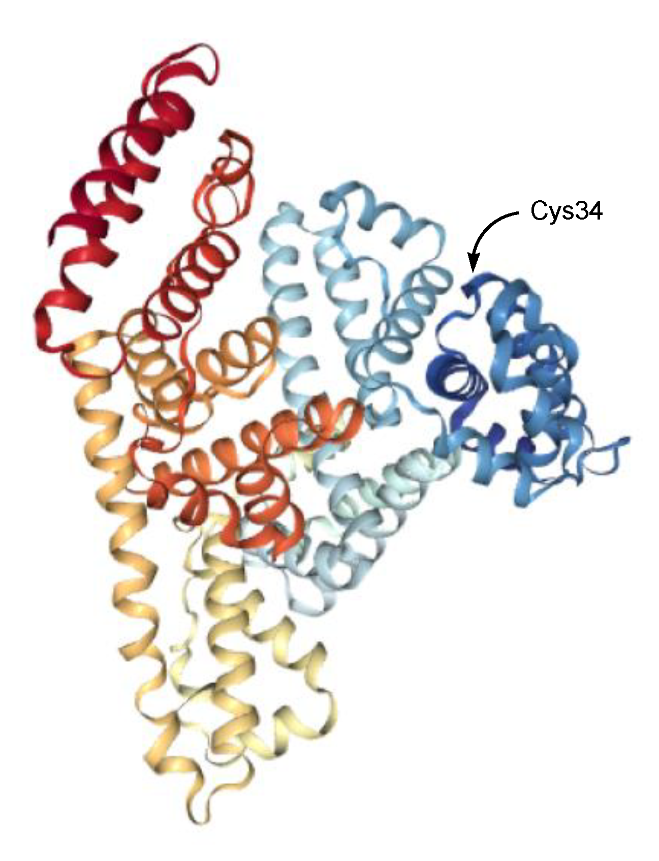 Antibodies 11 00078 g008