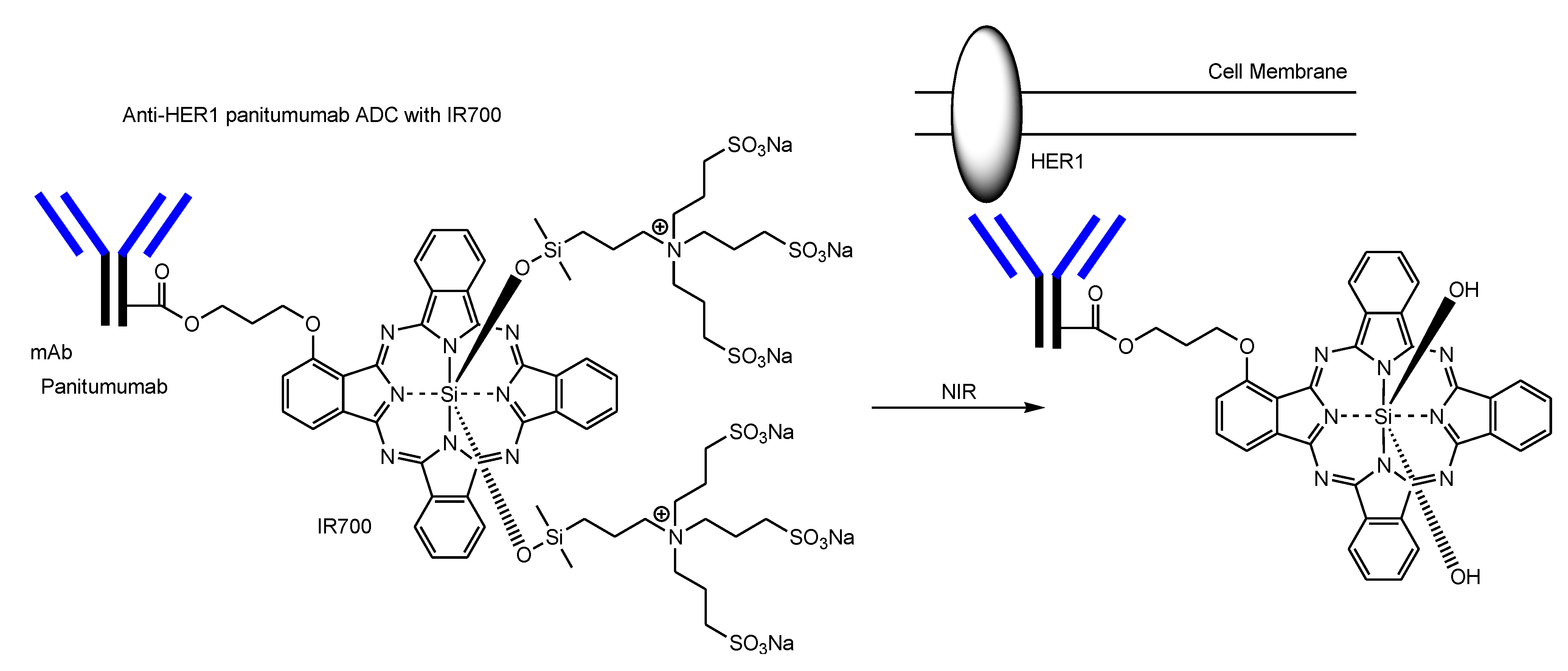 Antibodies 11 00078 g009