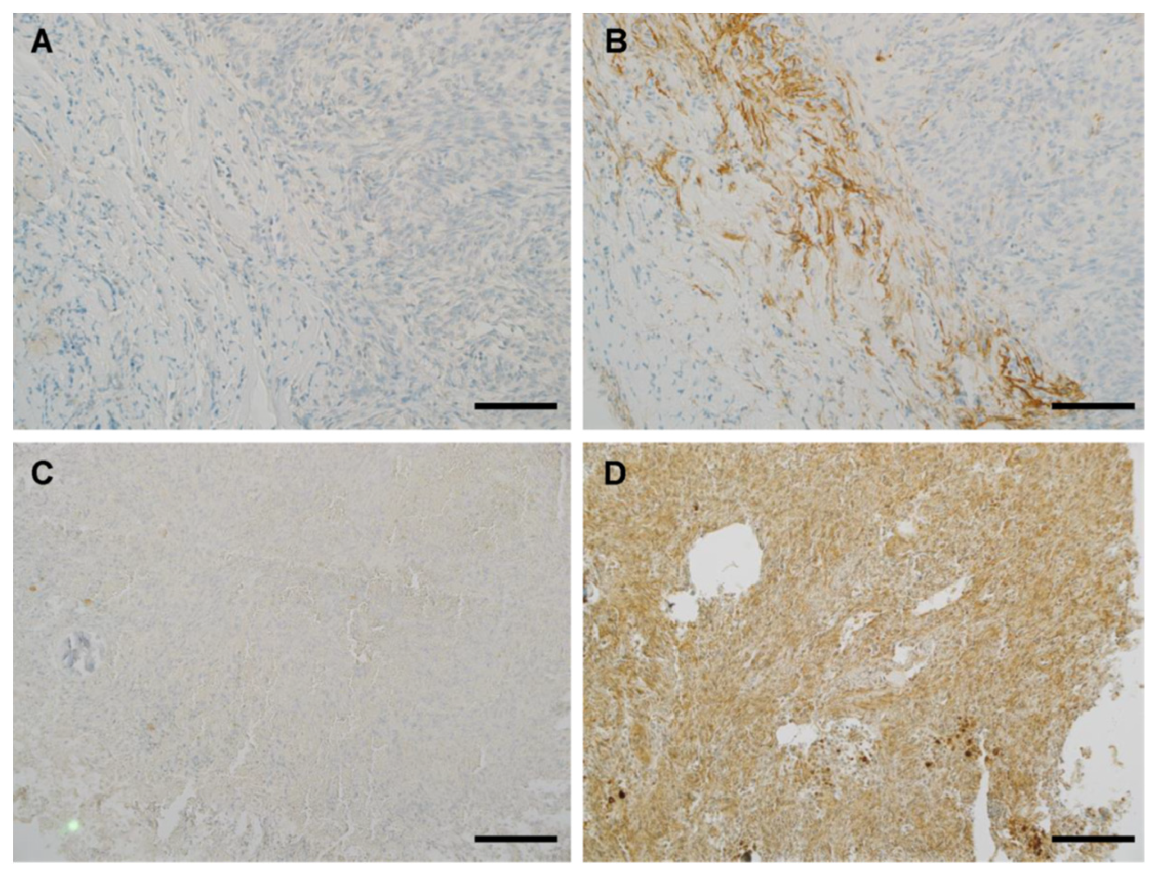 Antibodies 12 00014 g007 Antibodies 12 00014 g007