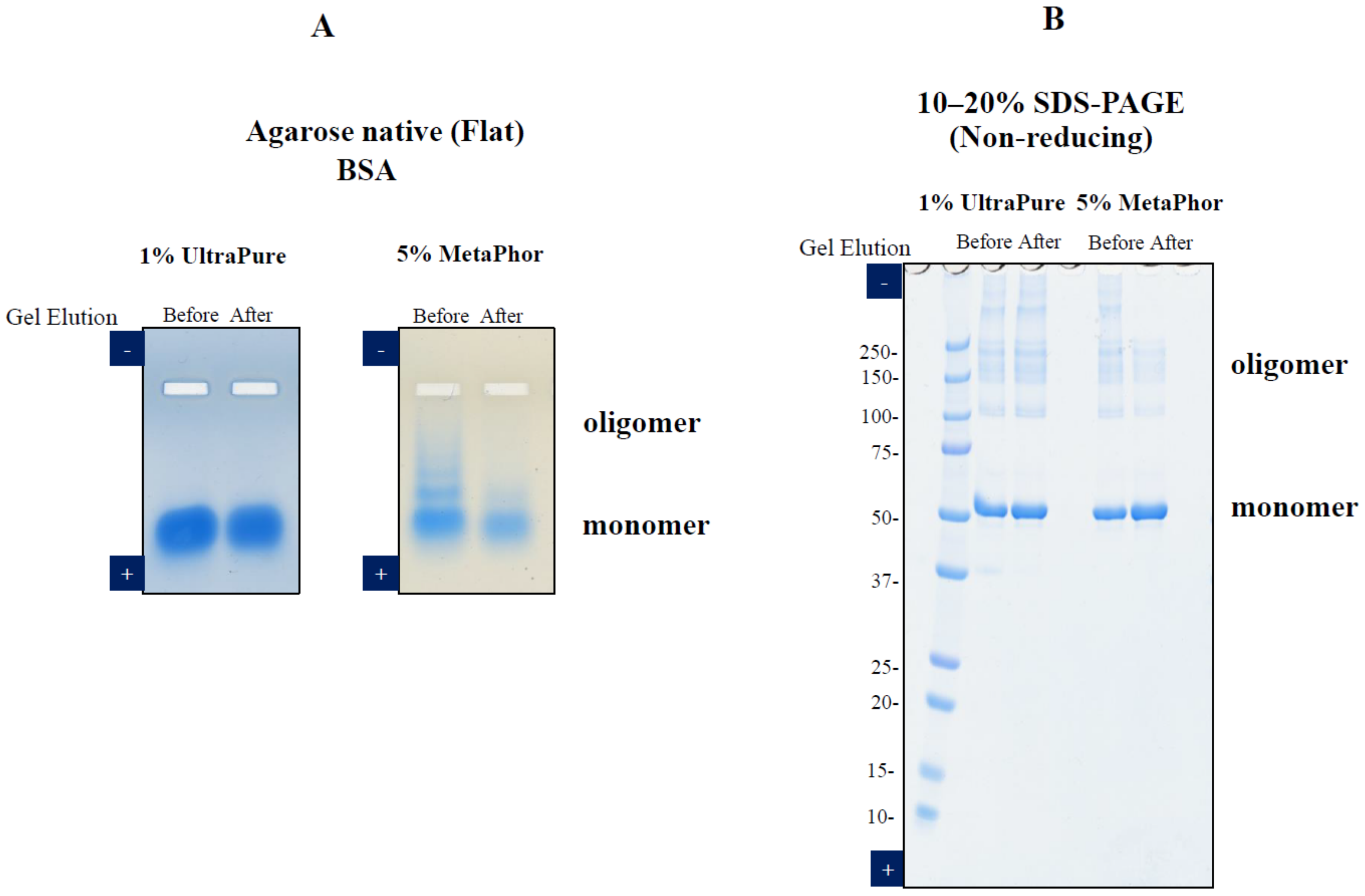 Antibodies 12 00015 g002