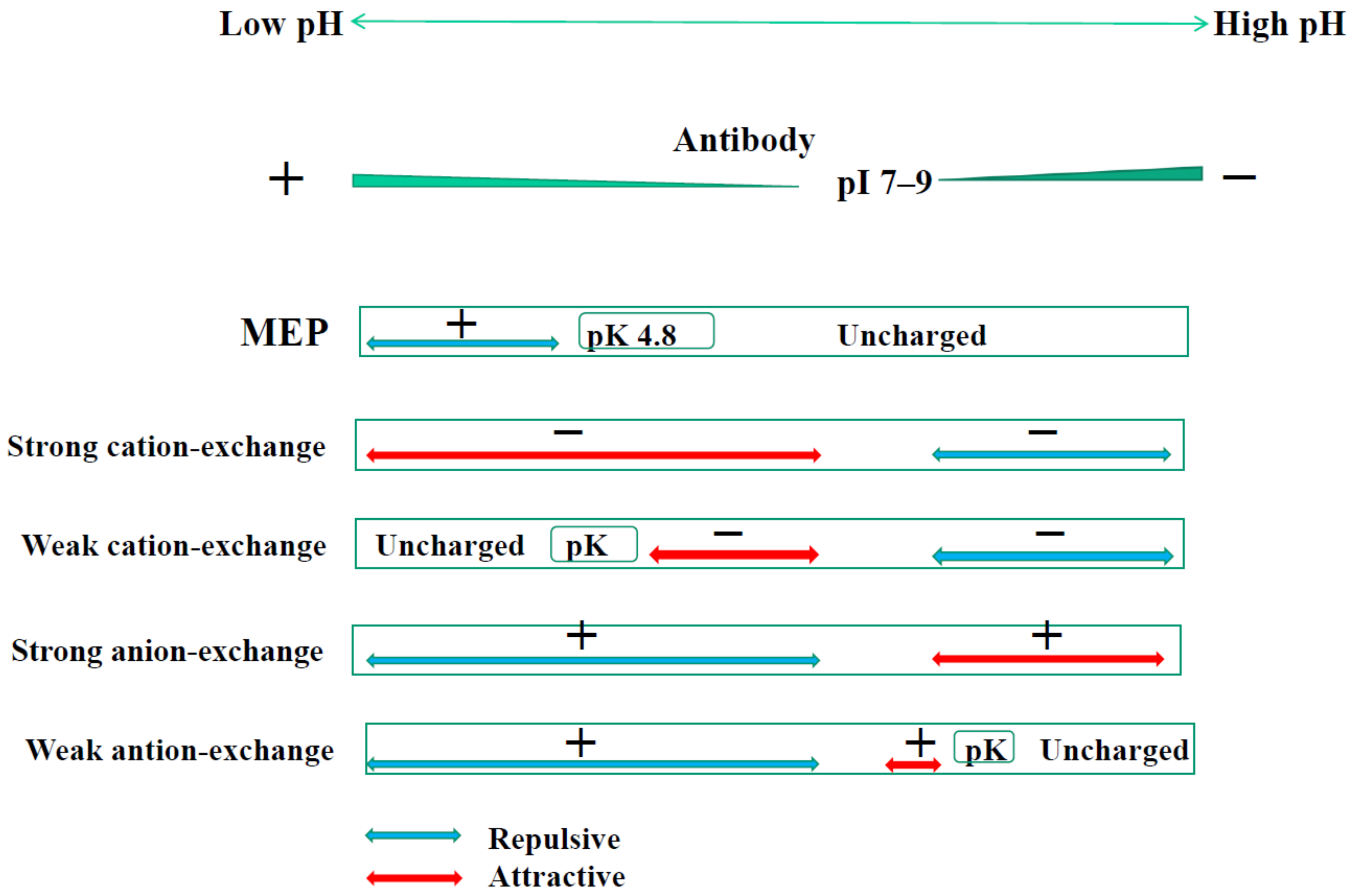 Antibodies 12 00015 g004