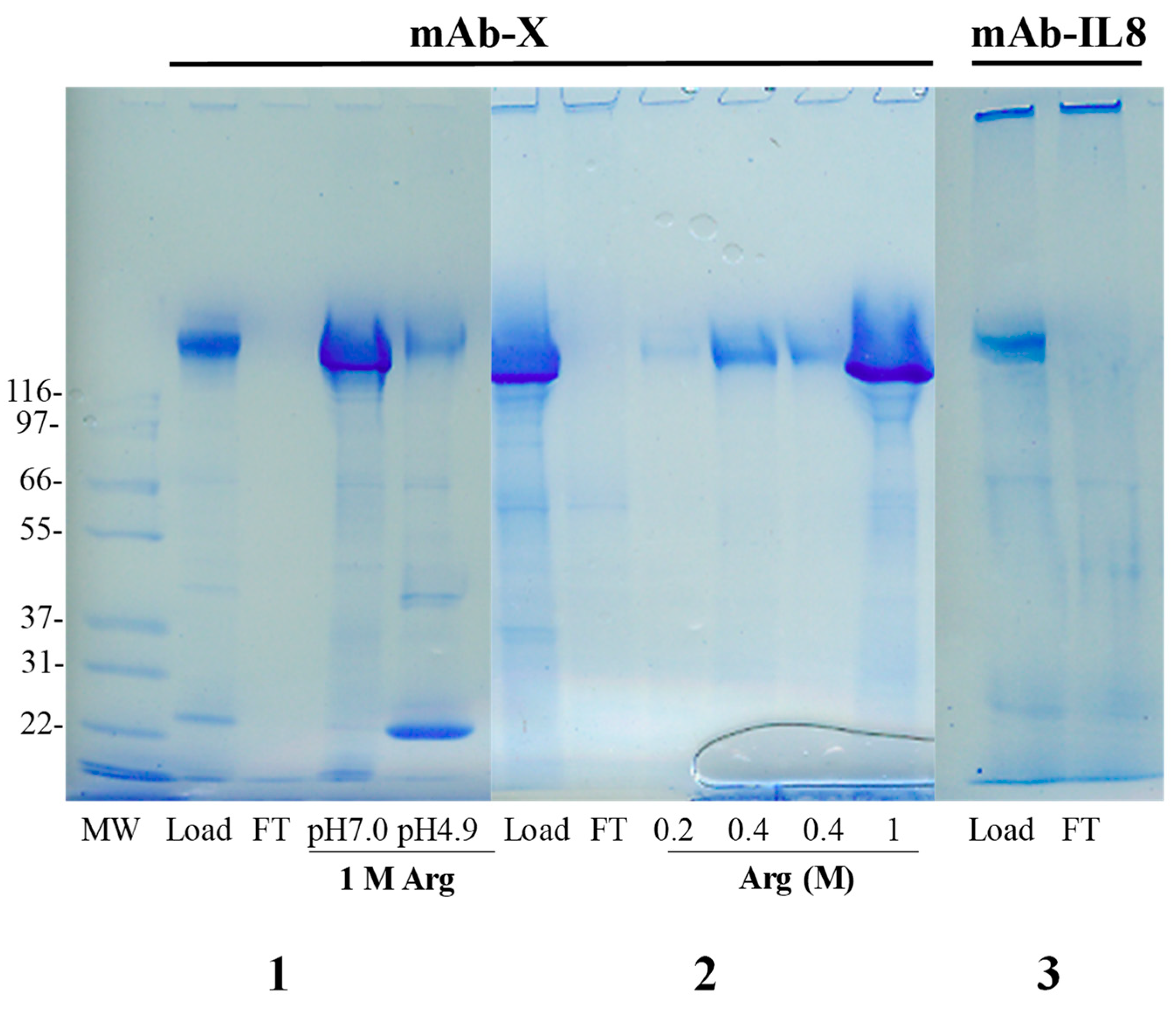 Antibodies 12 00015 g006