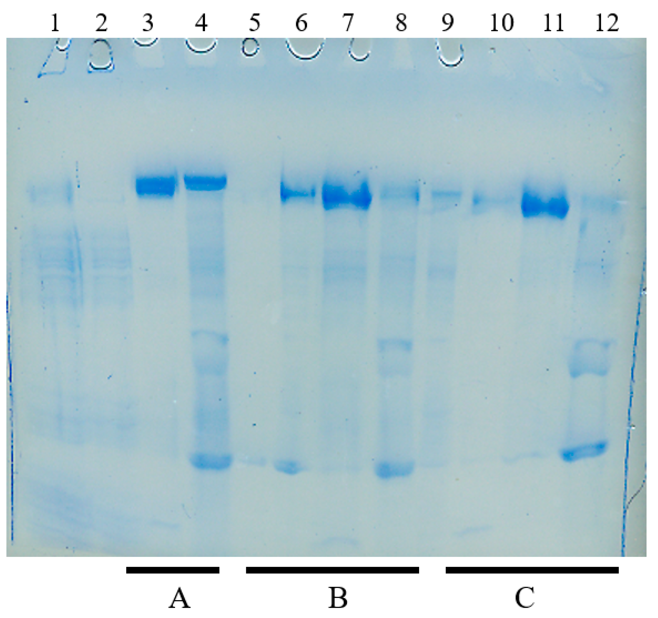 Antibodies 12 00015 g008