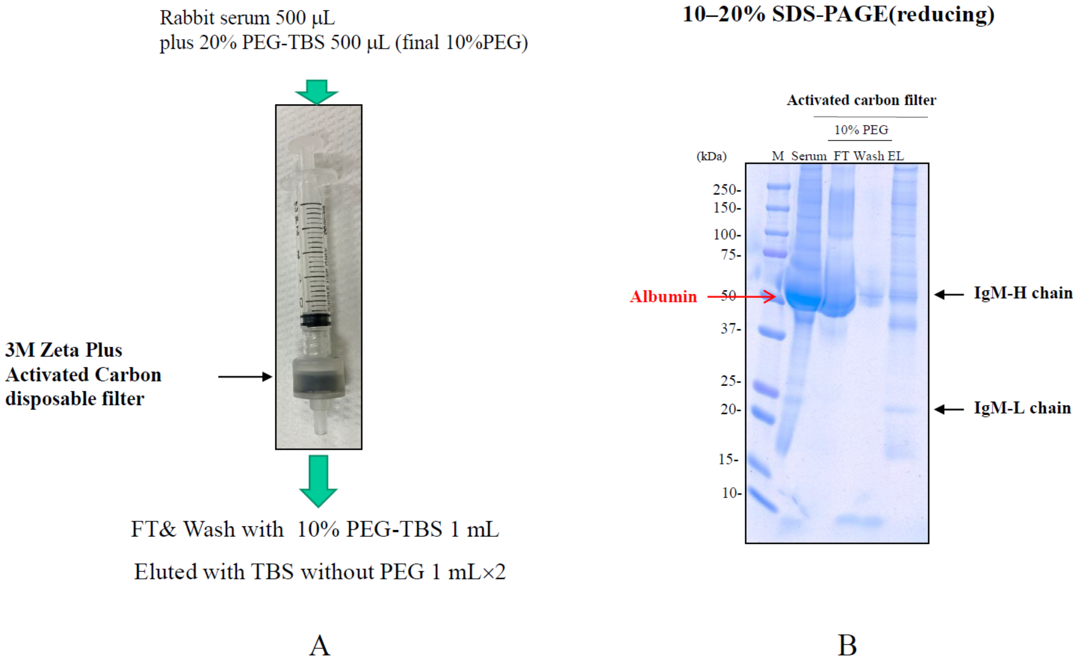 Antibodies 12 00015 g013