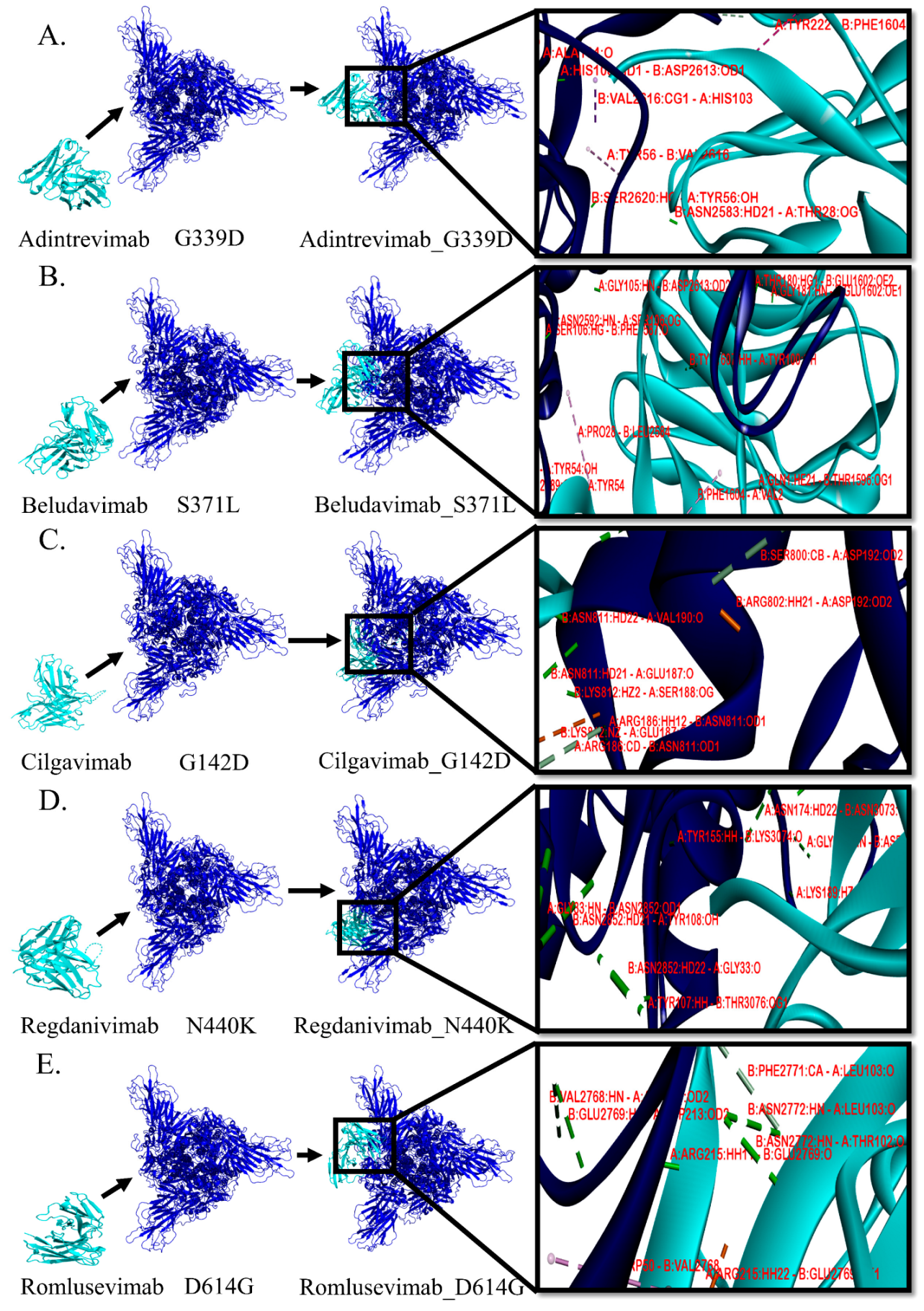 Antibodies 12 00017 g001 Antibodies 12 00017 g001