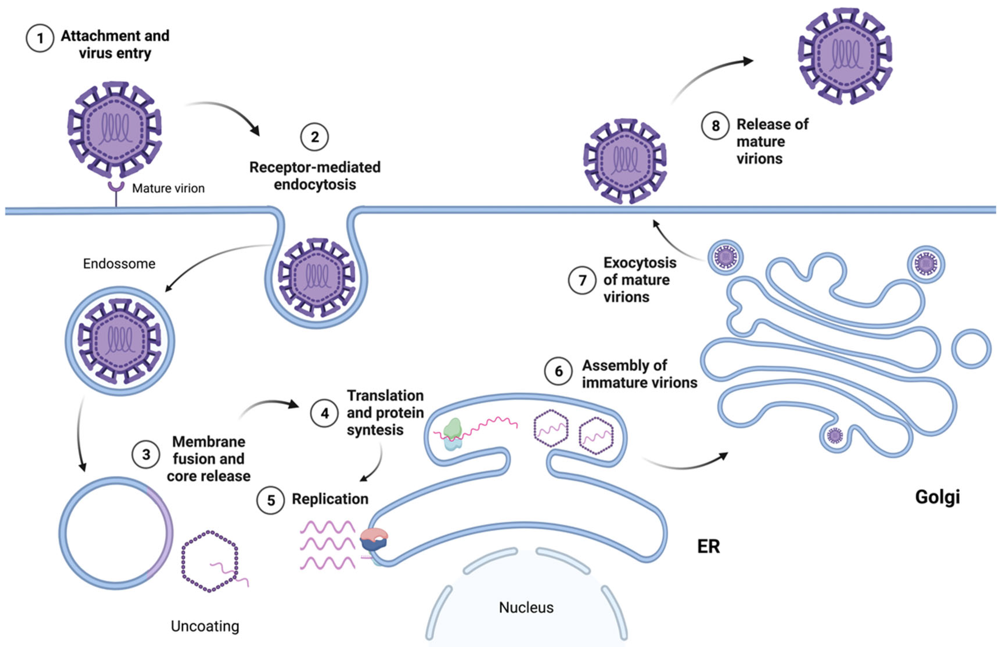 Antibodies 12 00018 g003 Antibodies 12 00018 g003