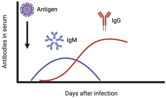 Serological Cross-Reactivity in Zoonotic Flaviviral Infections of