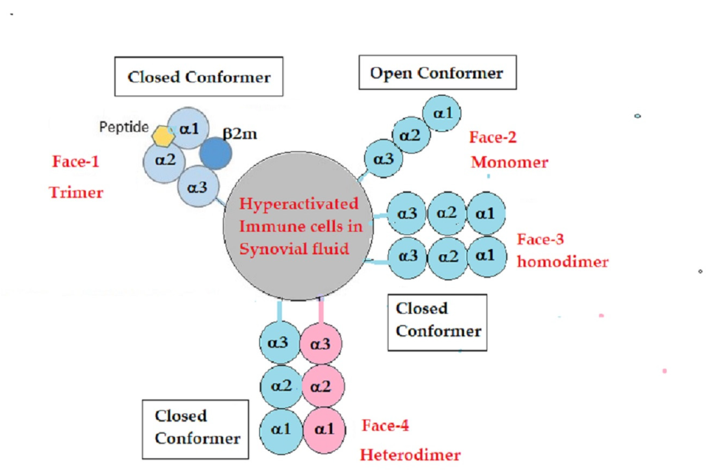 Antibodies 12 00026 g001