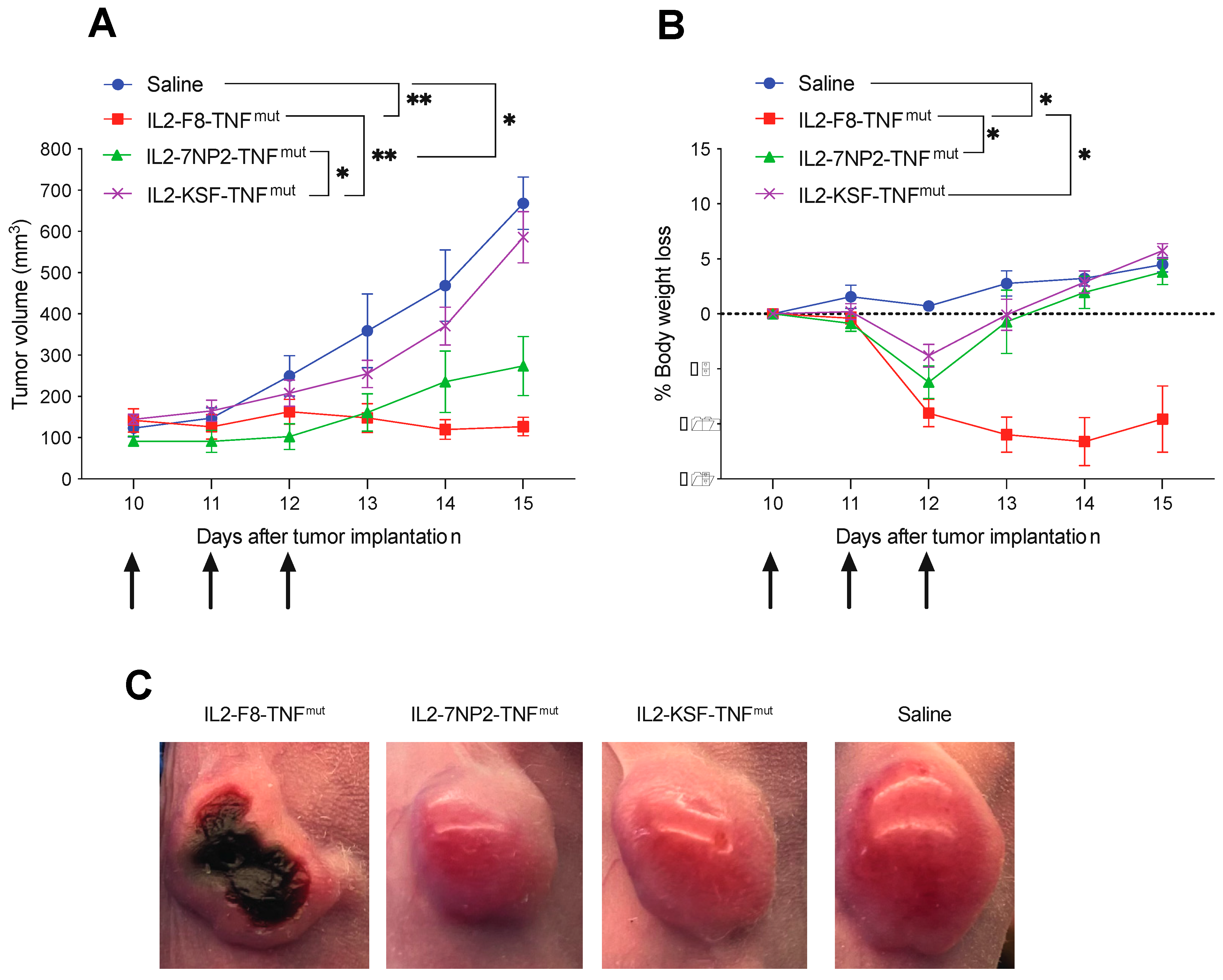 Antibodies 12 00029 g004