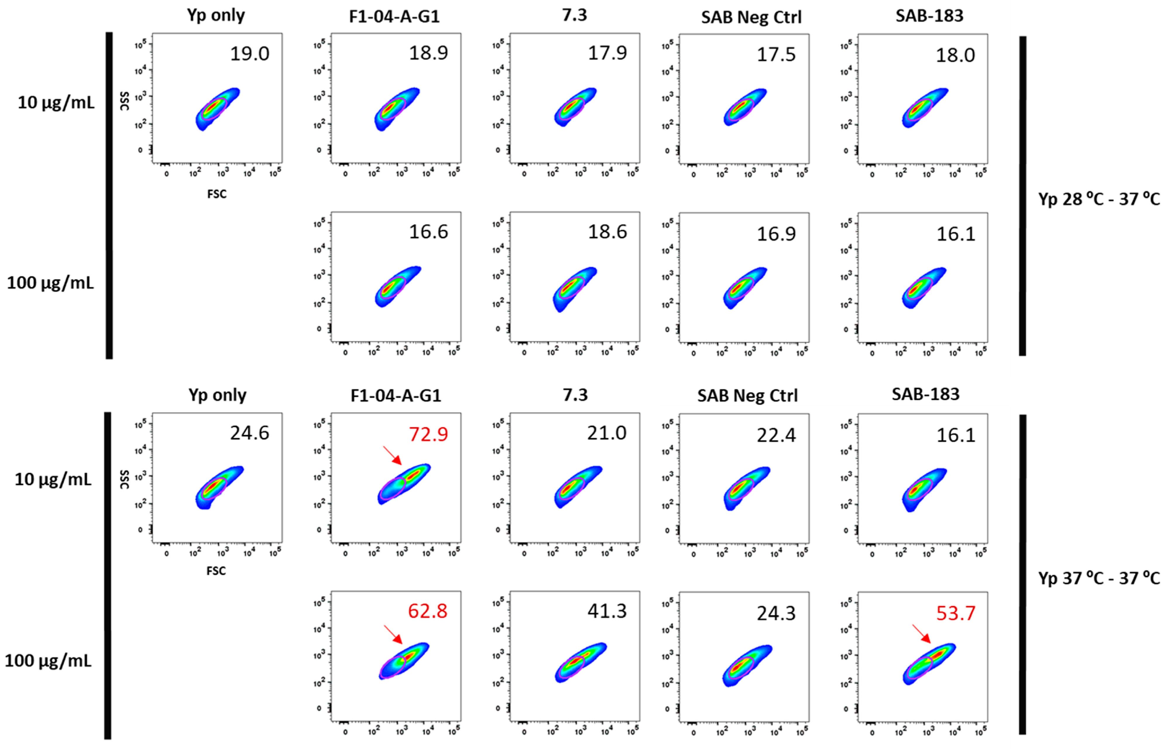 Antibodies 12 00033 g002 Antibodies 12 00033 g002