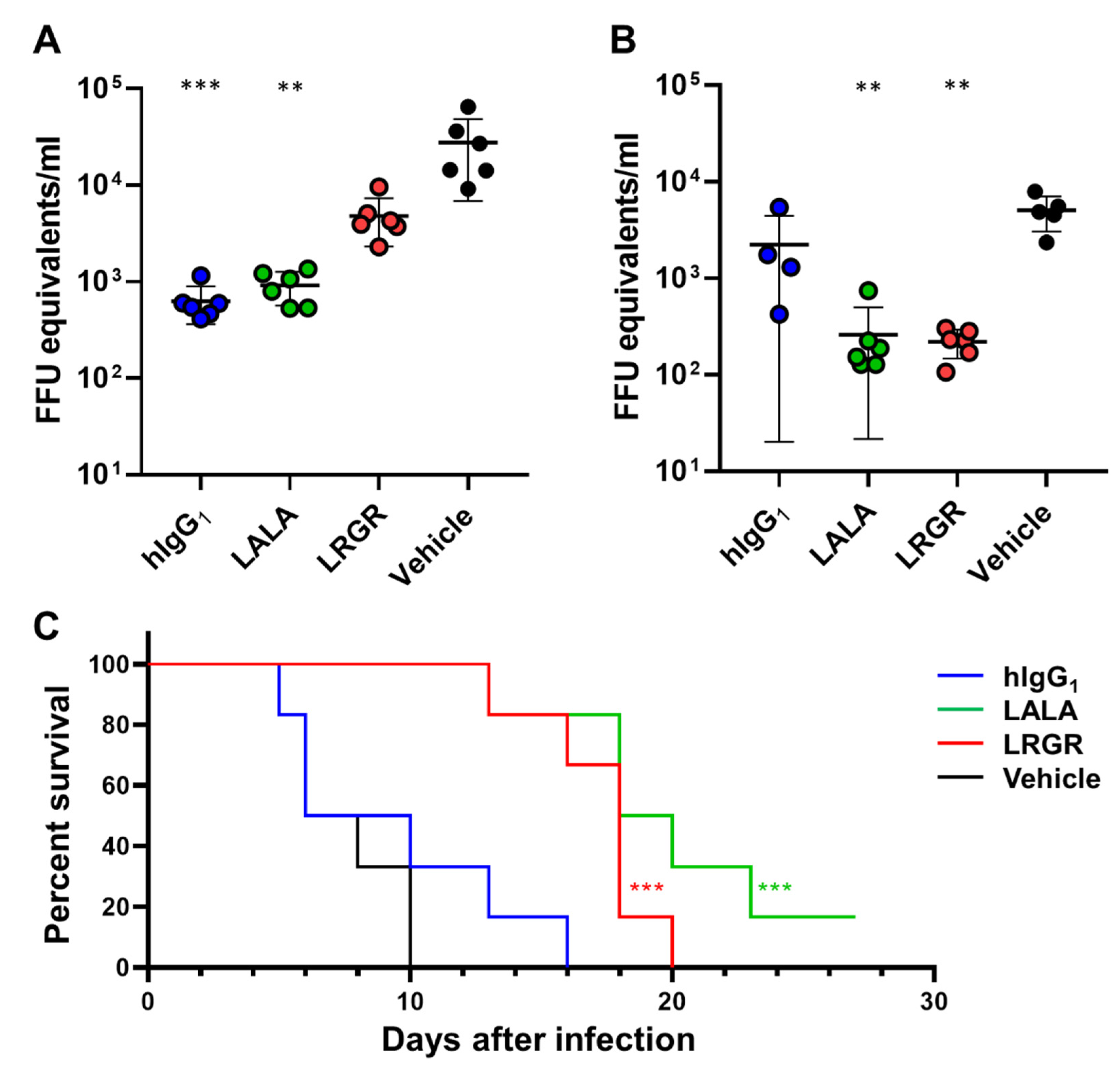 Antibodies 12 00036 g001 Antibodies 12 00036 g001