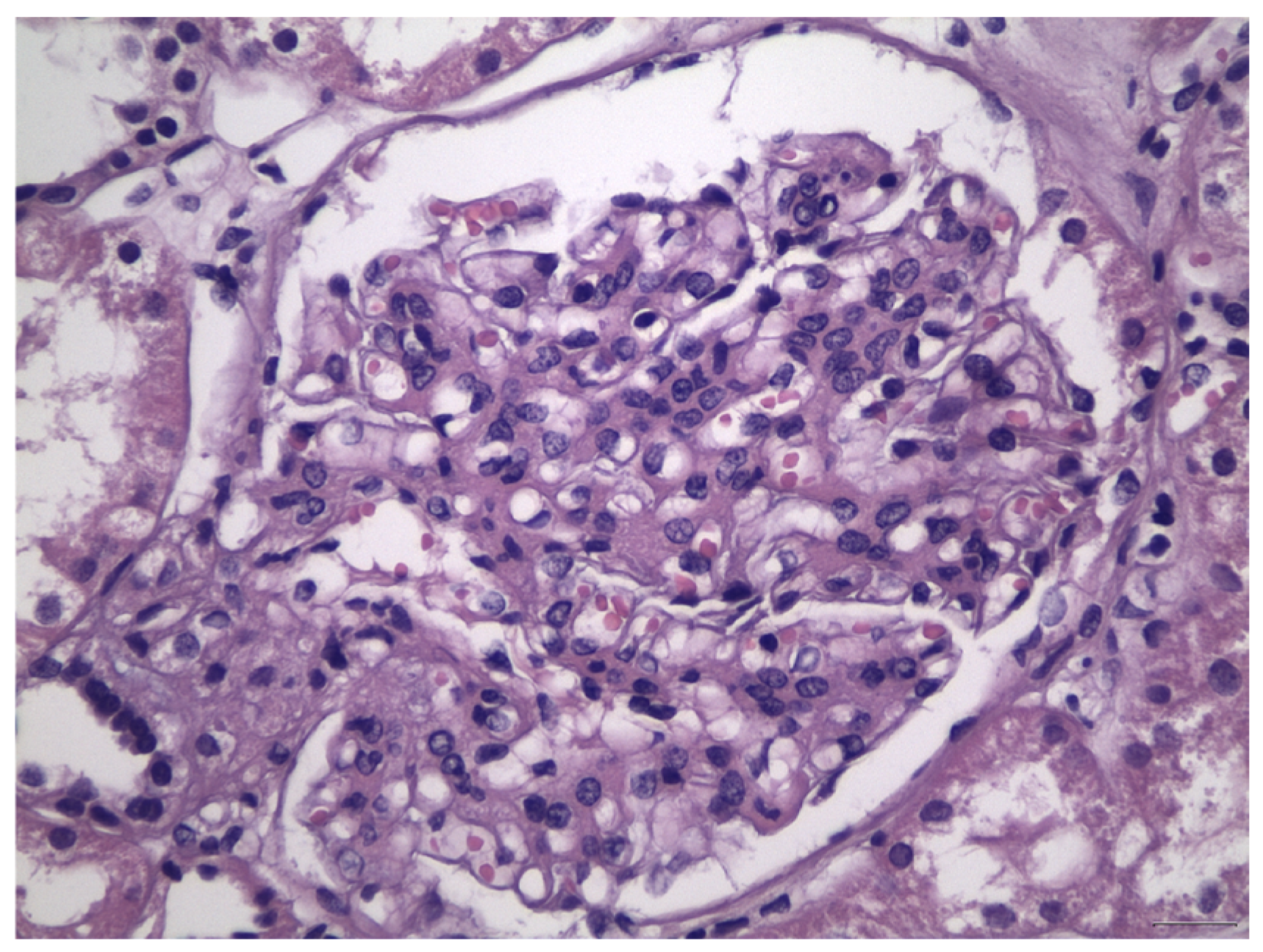 Antibodies 12 00040 g002
