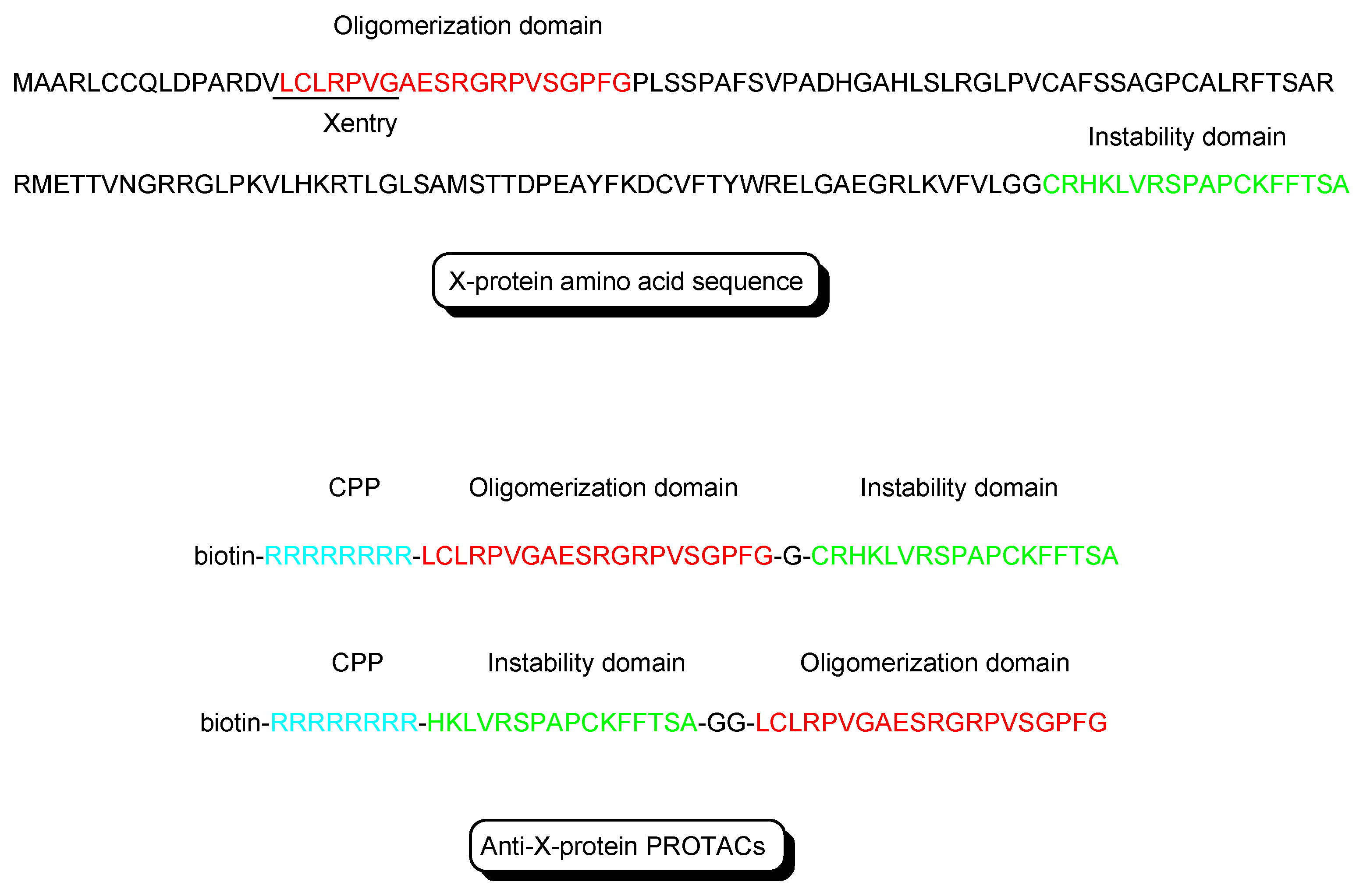 Antibodies 12 00043 g004