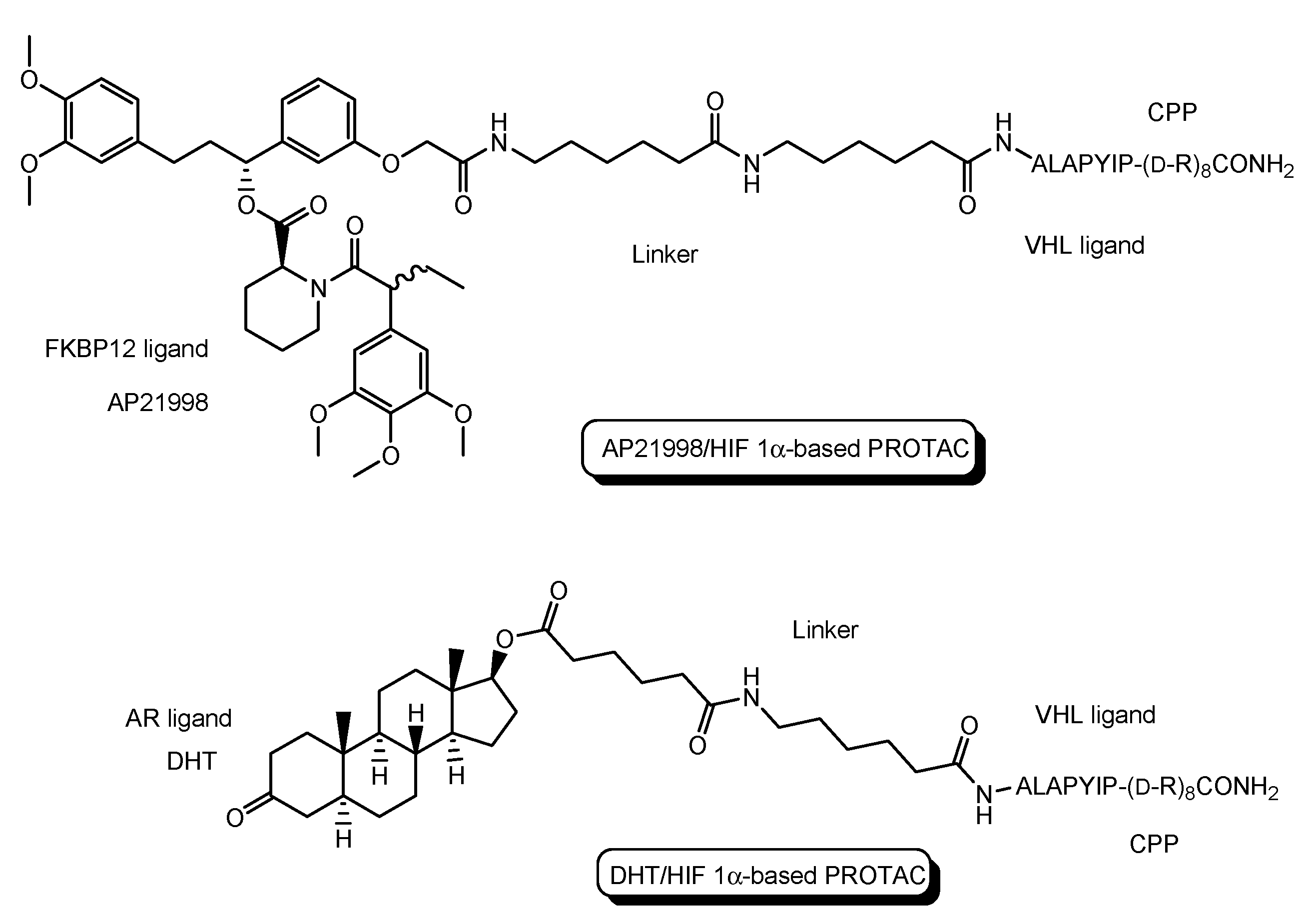 Antibodies 12 00043 g005