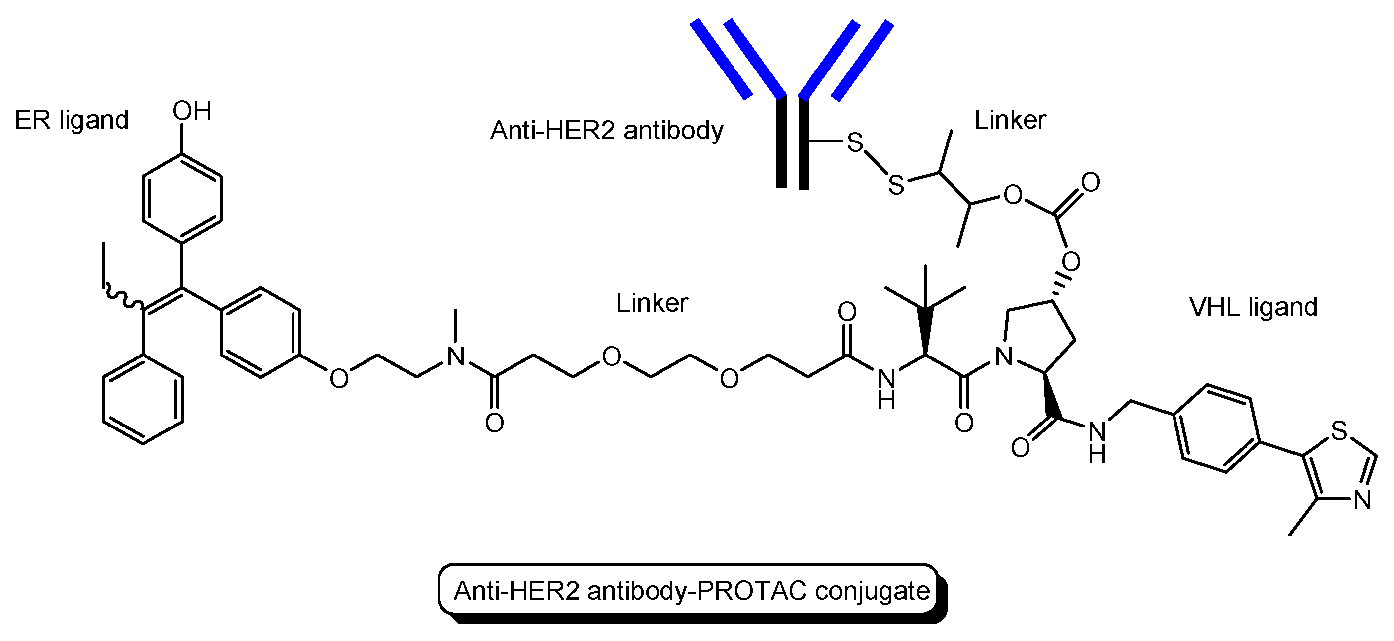 Antibodies 12 00043 g013