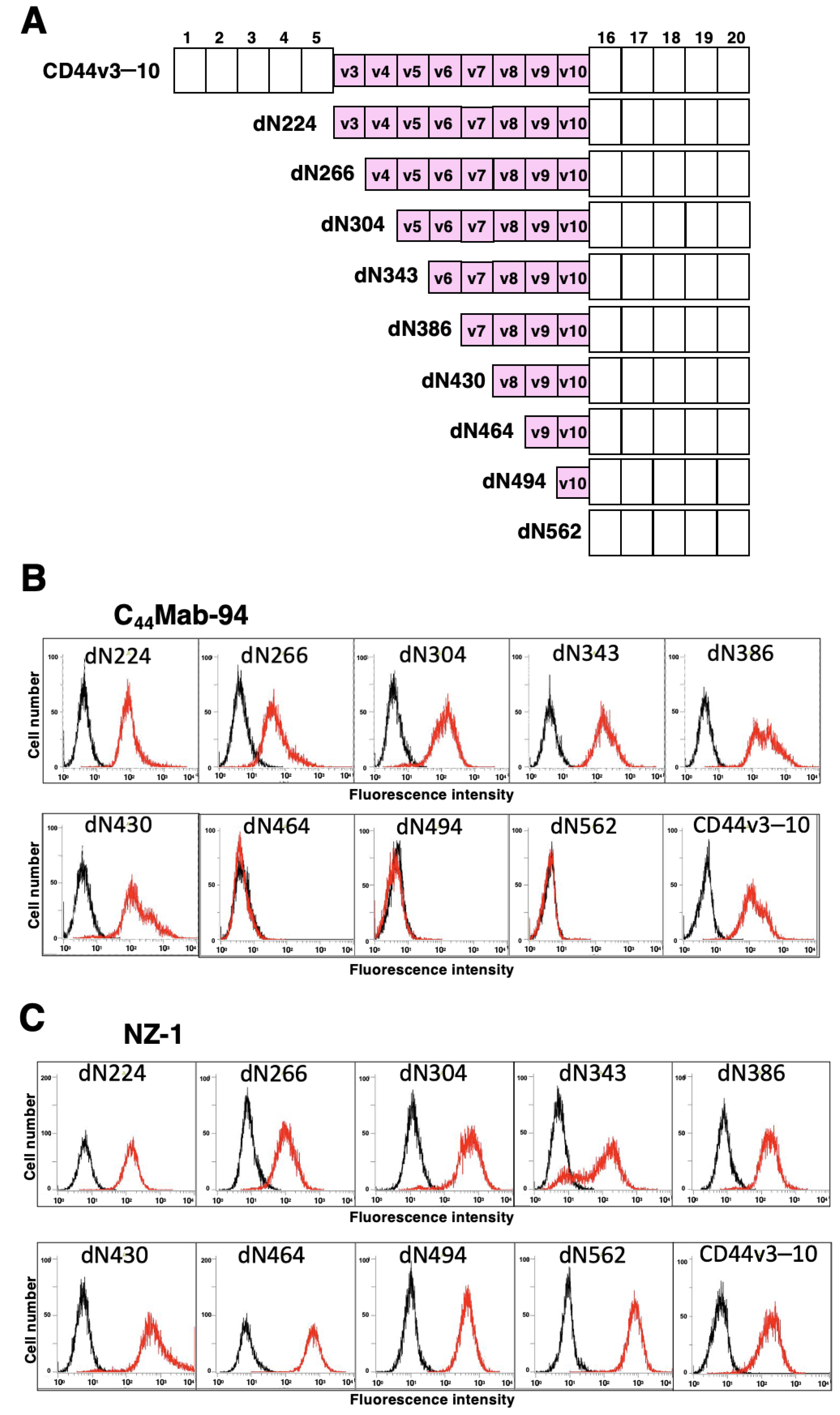 Antibodies 12 00045 g002 Antibodies 12 00045 g002