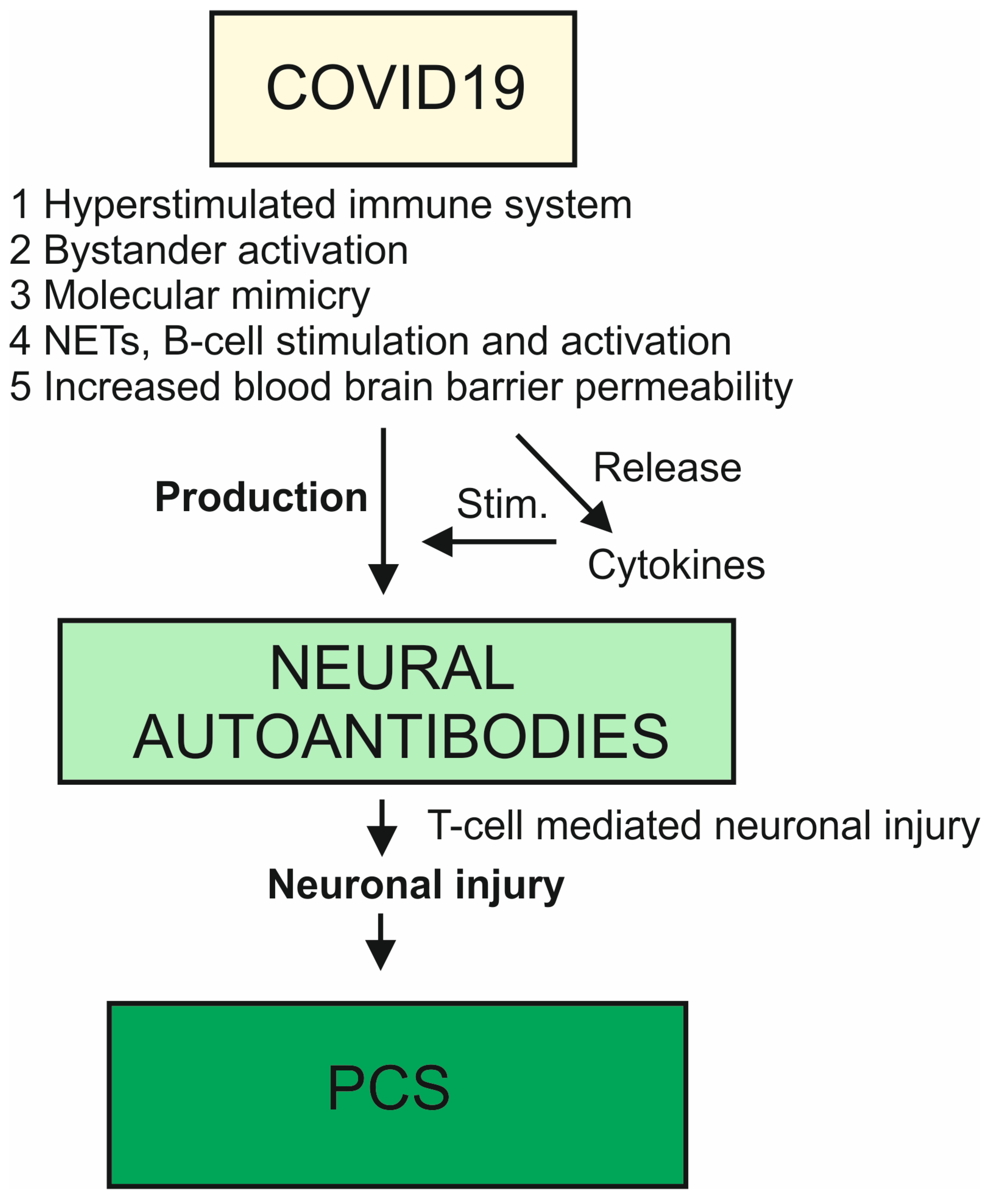 Antibodies 12 00049 g001 Antibodies 12 00049 g001