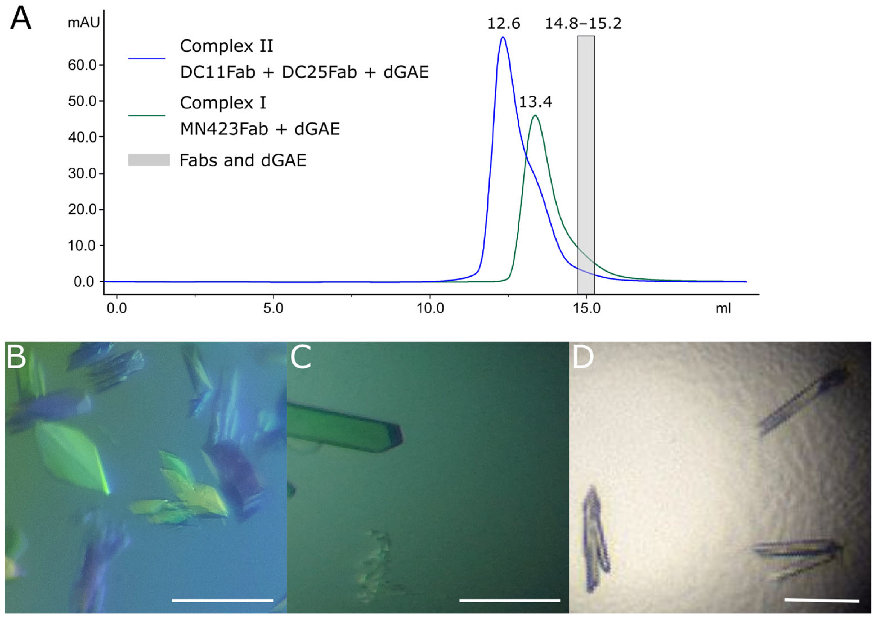Antibodies 12 00051 g003 Antibodies 12 00051 g003