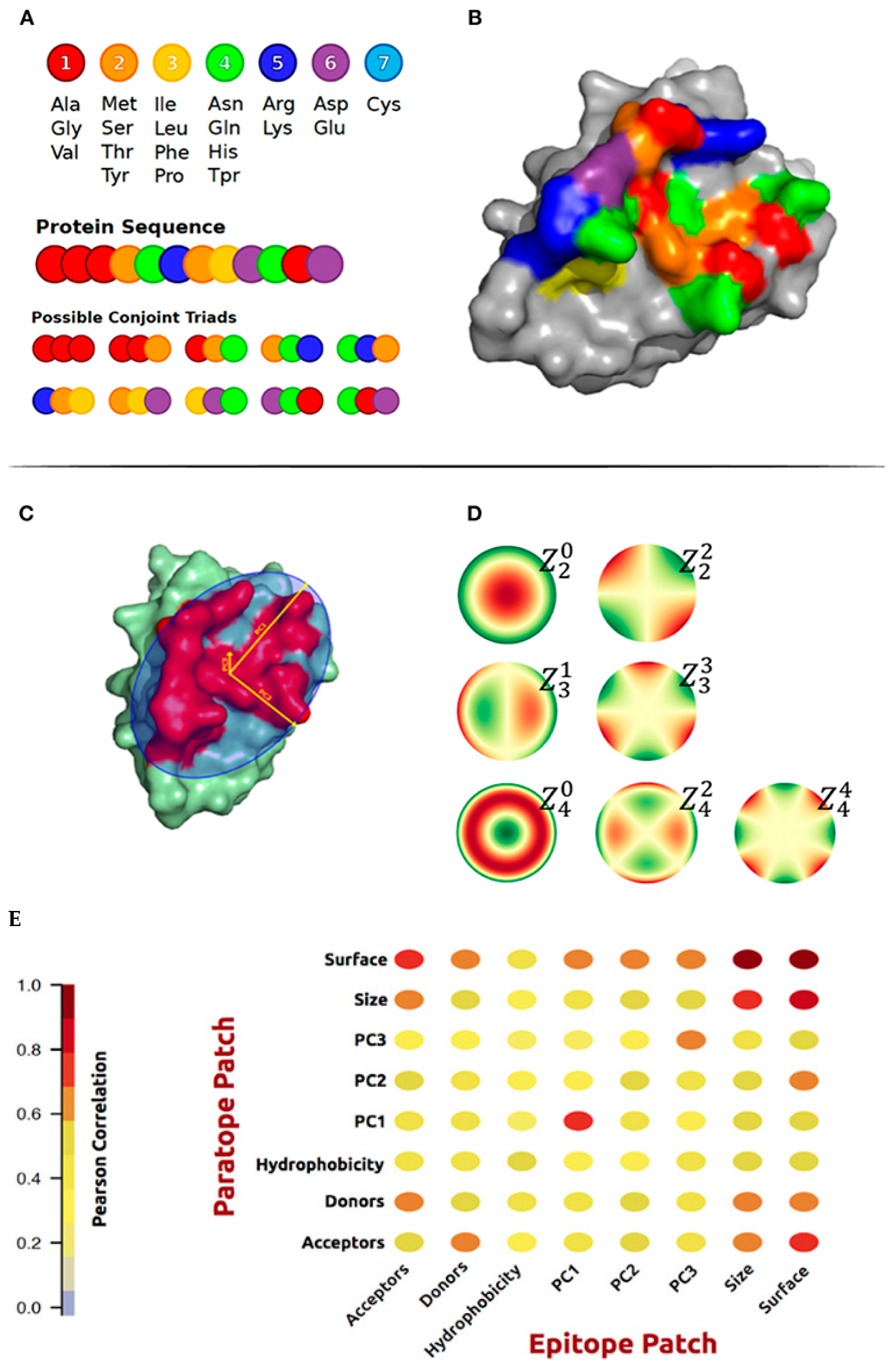 Antibodies 12 00052 g002 Antibodies 12 00052 g002