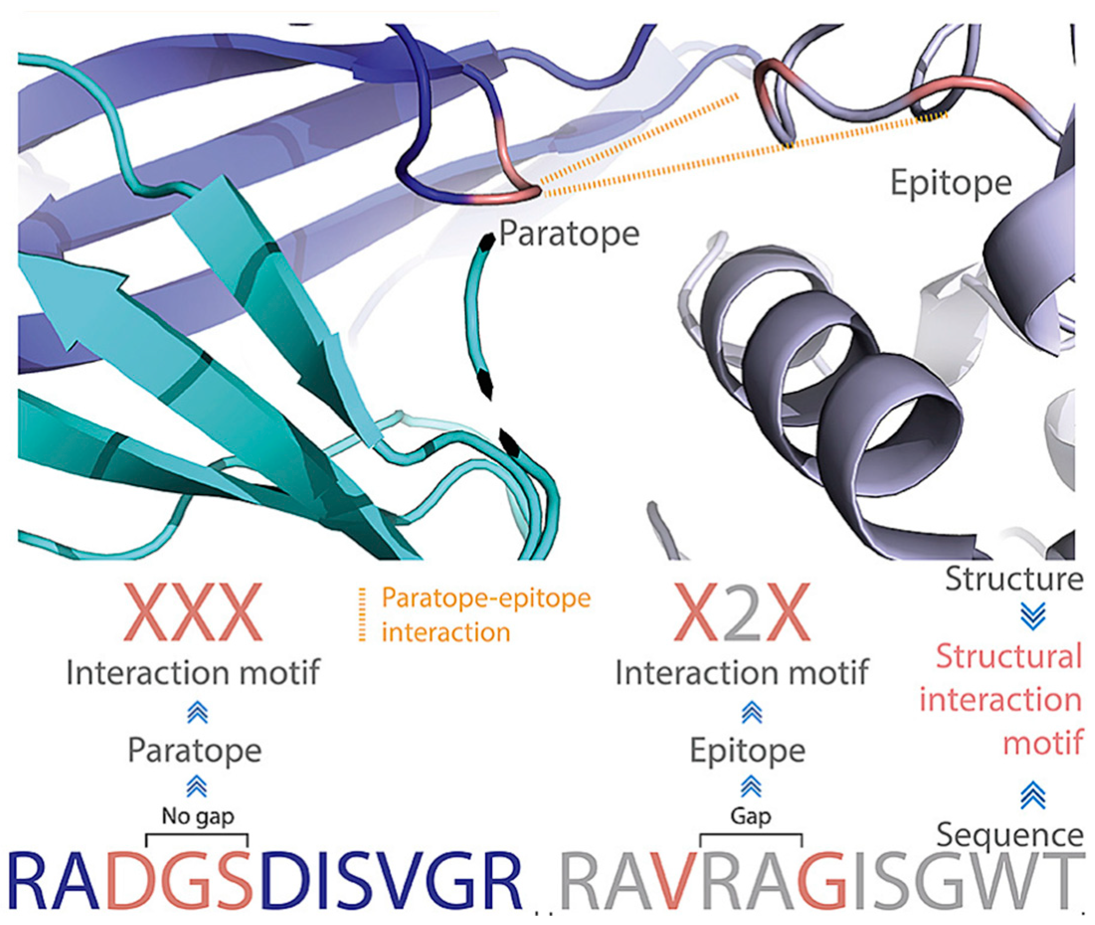 Antibodies 12 00052 g003 Antibodies 12 00052 g003