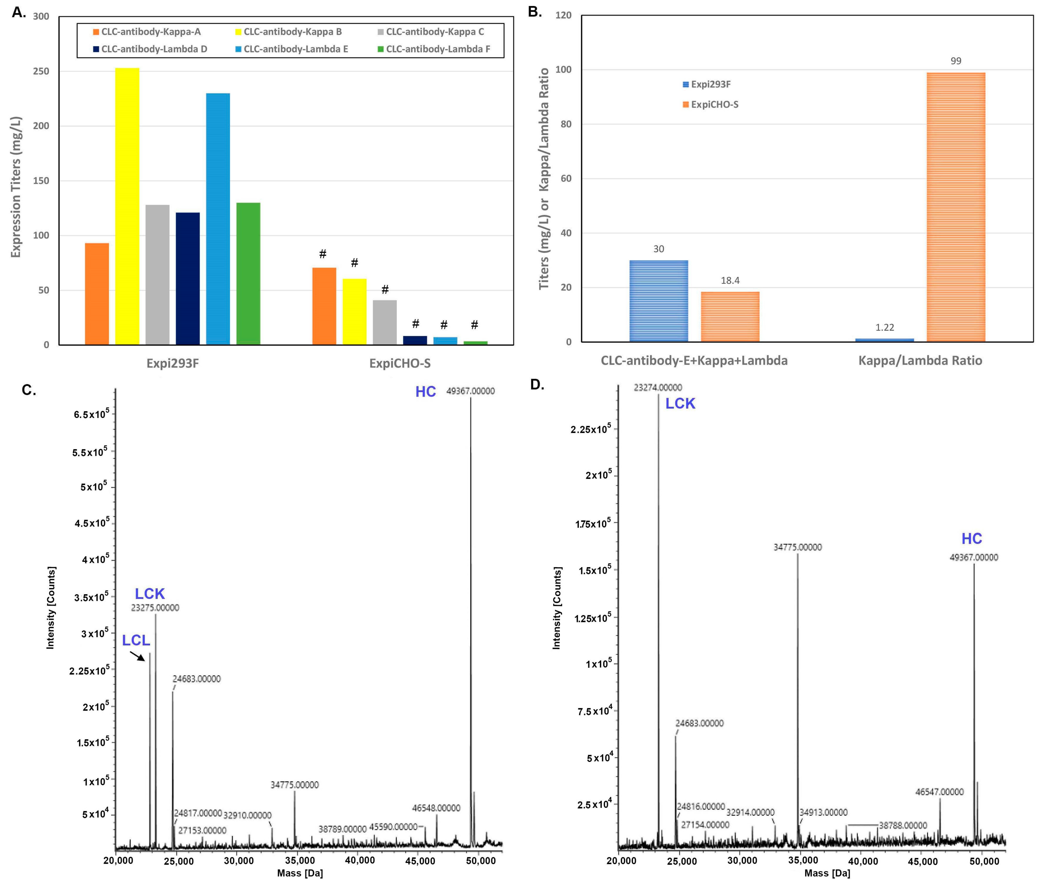 Antibodies 12 00053 g008 Antibodies 12 00053 g008