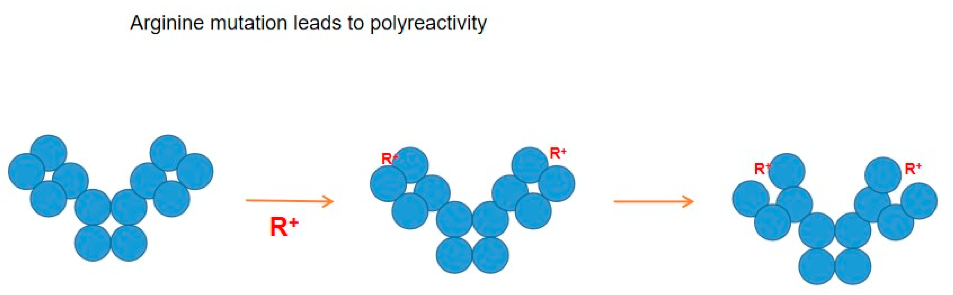 Antibodies 12 00064 g005