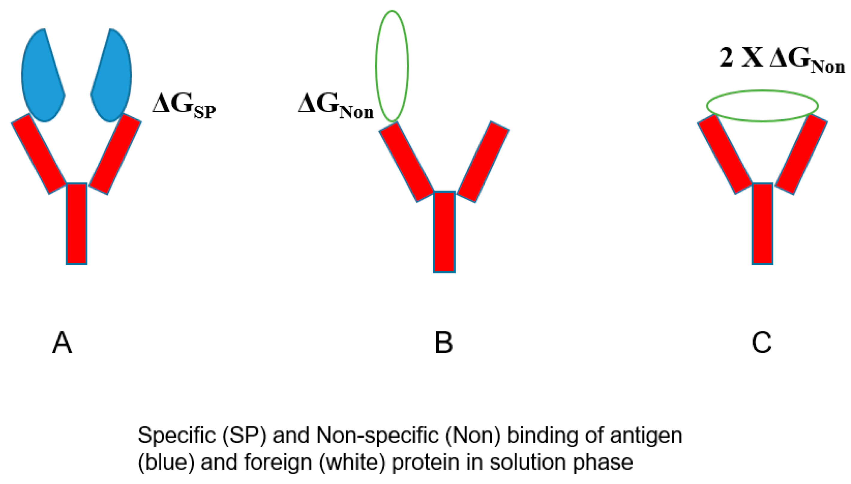 Antibodies 12 00064 g006