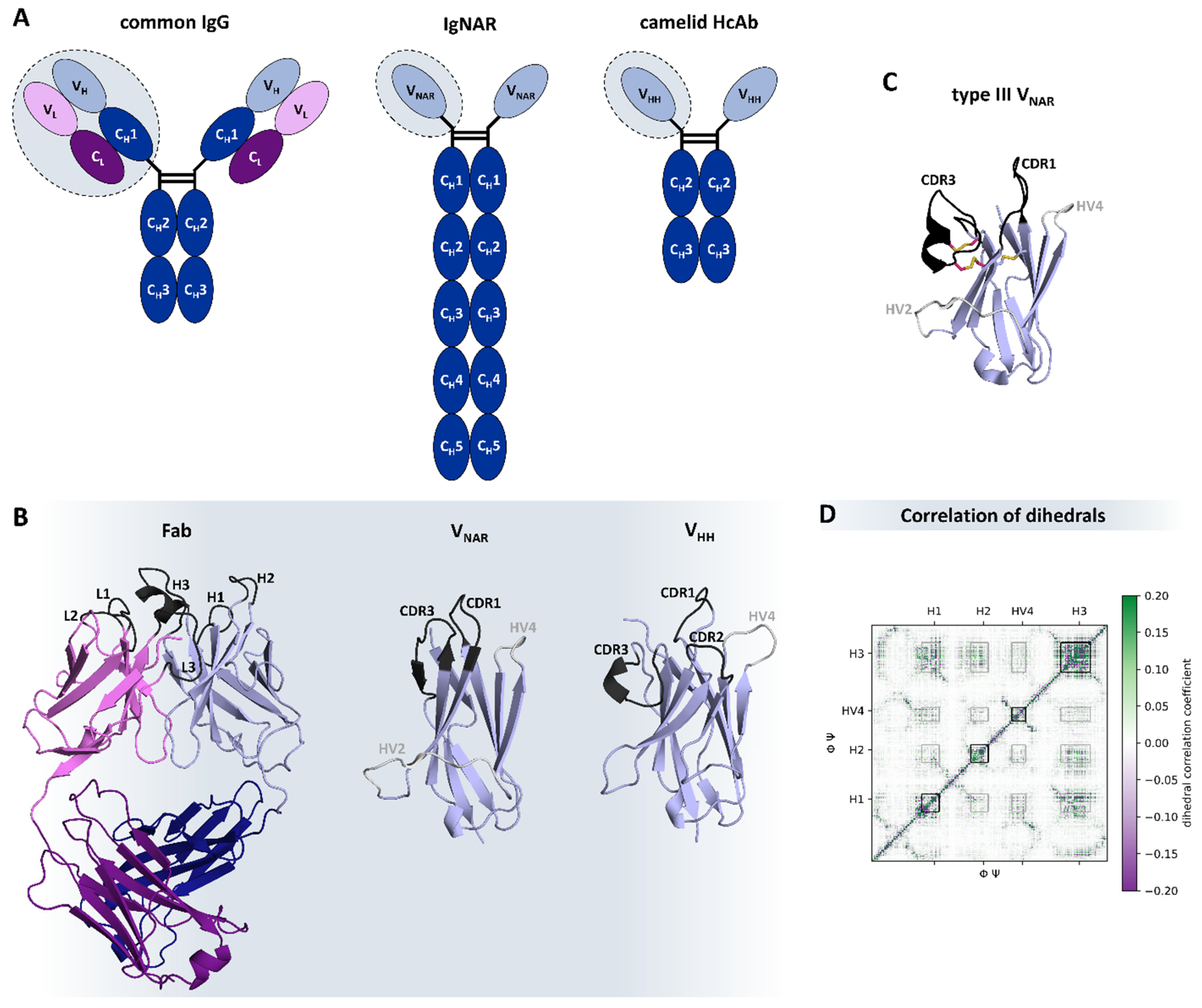 Antibodies 12 00067 g006 Antibodies 12 00067 g006