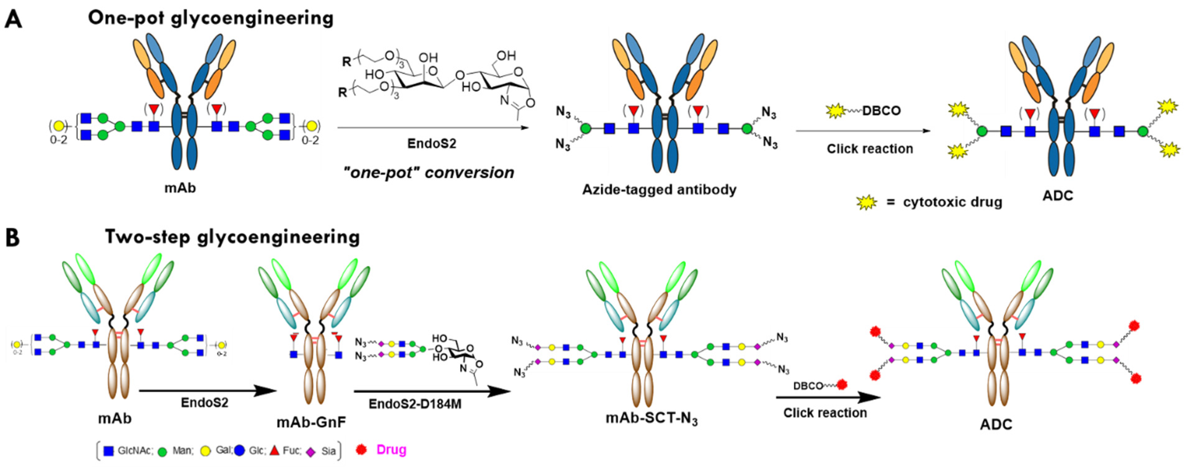 Antibodies 12 00071 g001