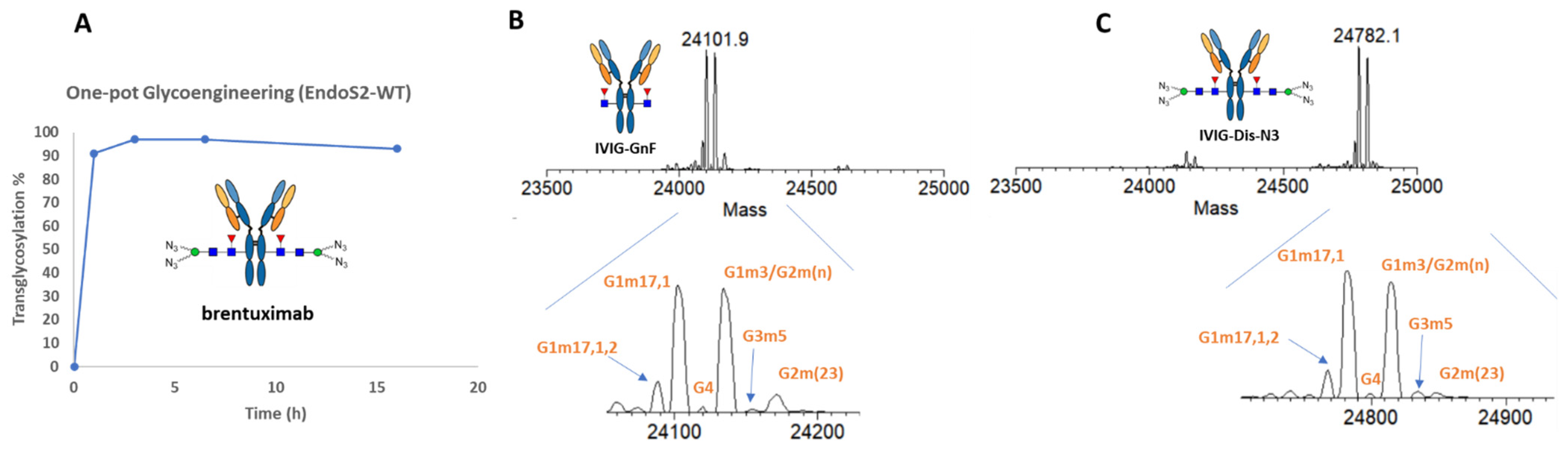 Antibodies 12 00071 g002