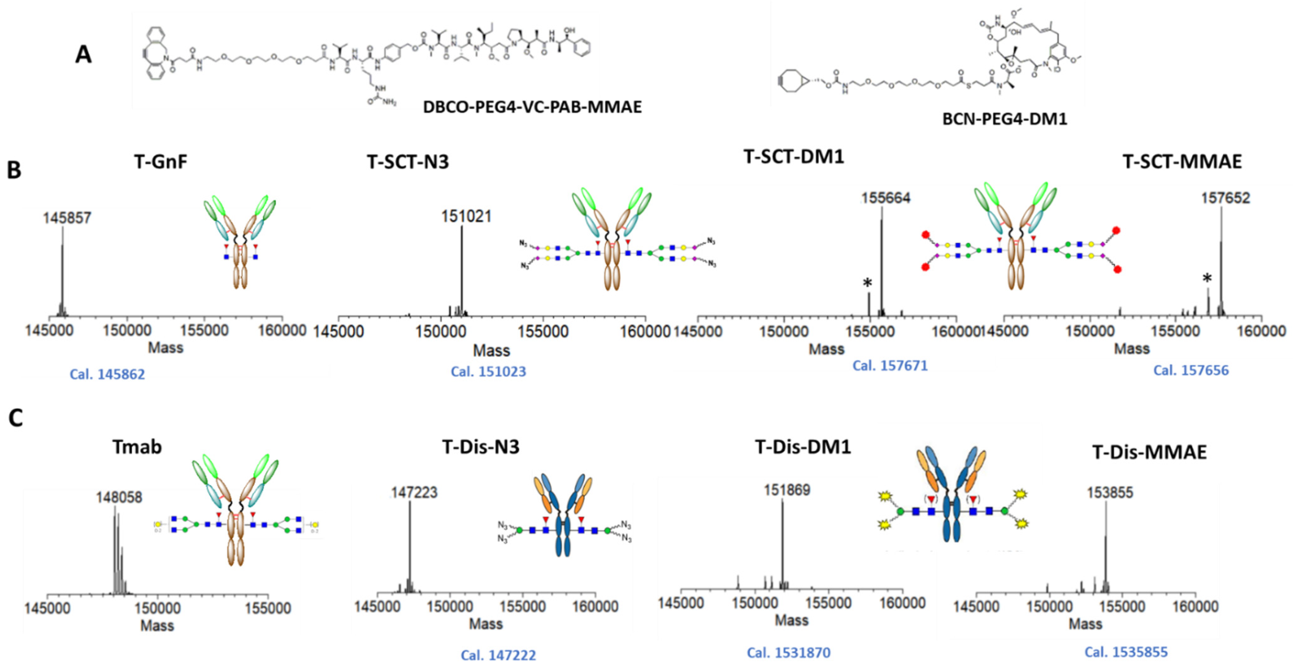 Antibodies 12 00071 g004