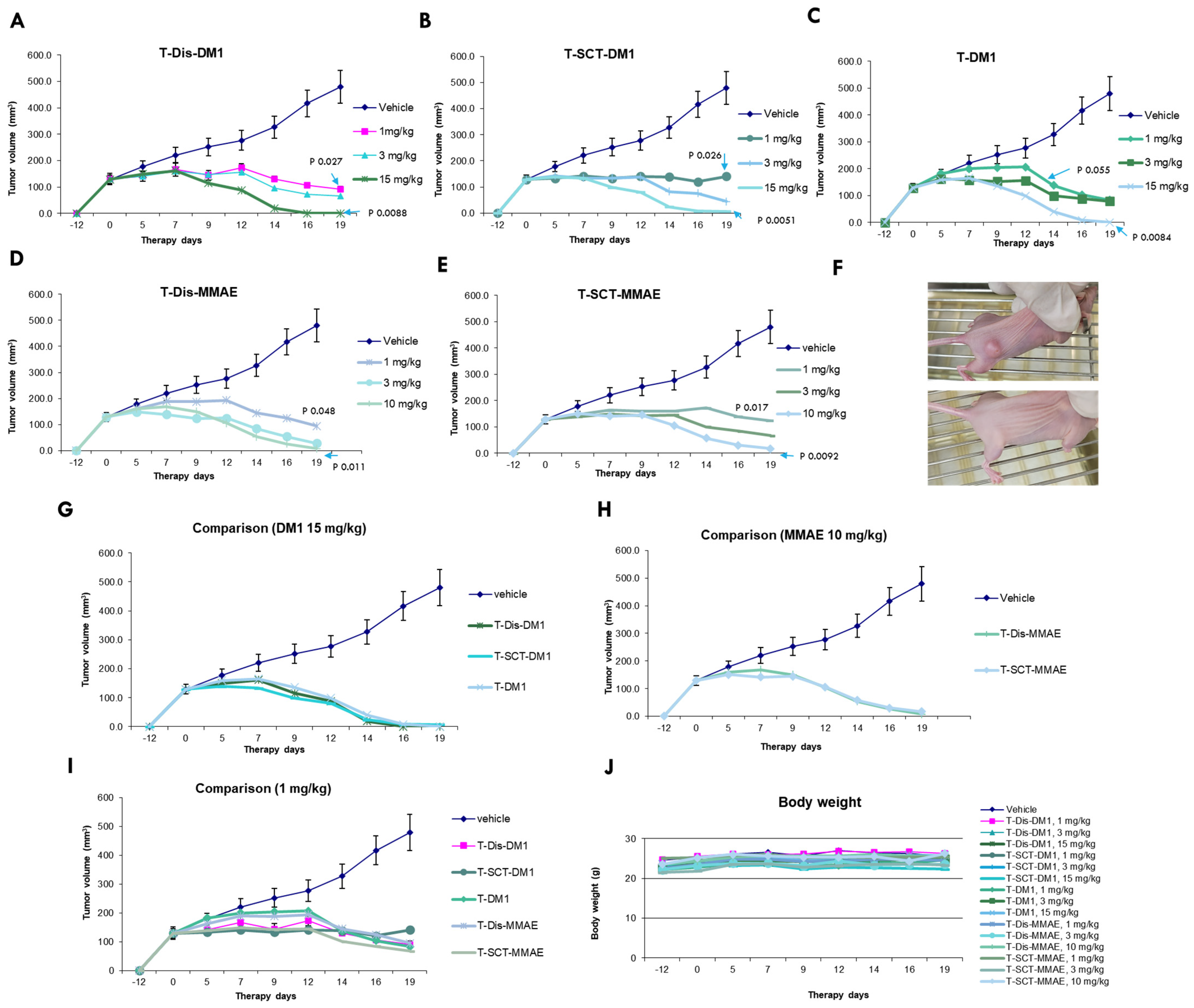 Antibodies 12 00071 g006