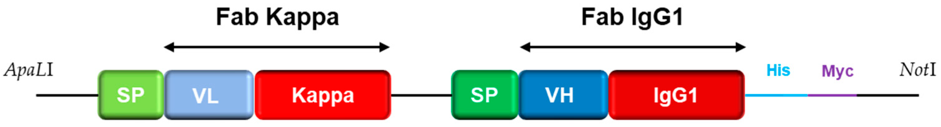 Antibodies 12 00073 sch001